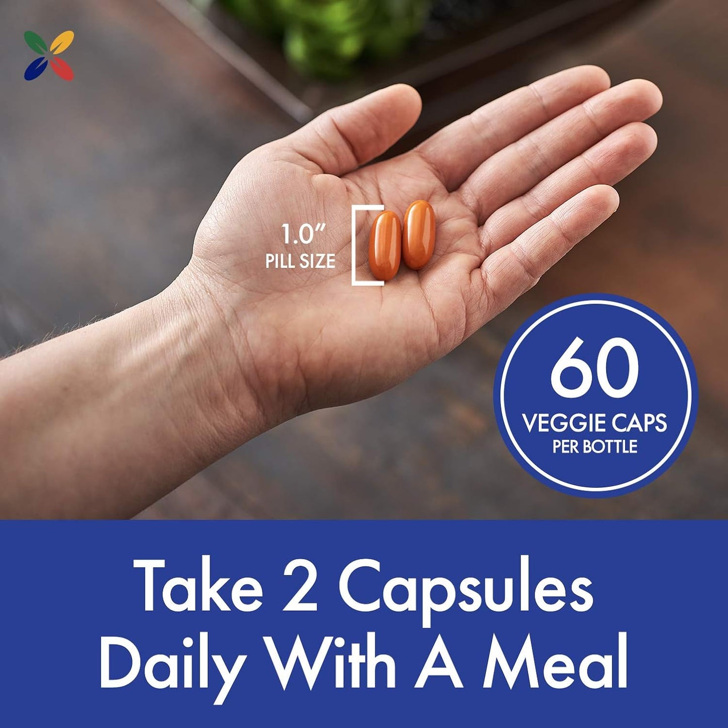 Anti-Aging Complex: Stop Aging Now CUR-Q10 Ultra Curcumin CoQ10 Veggie Capsules