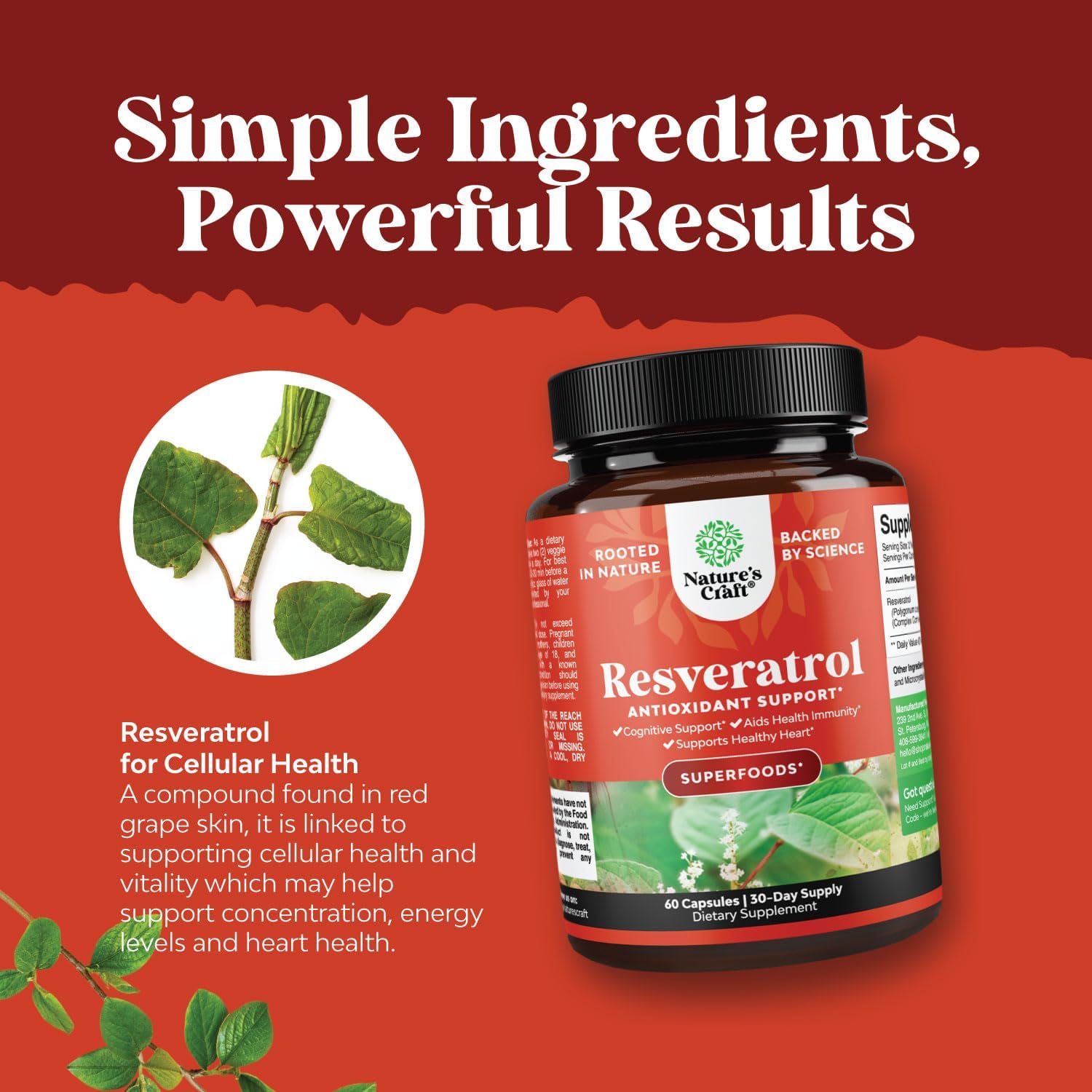 Anti Aging Trans Resveratrol and Halal Zinc Bundle - Joint Support and Immune System Booster with Natural Supplements