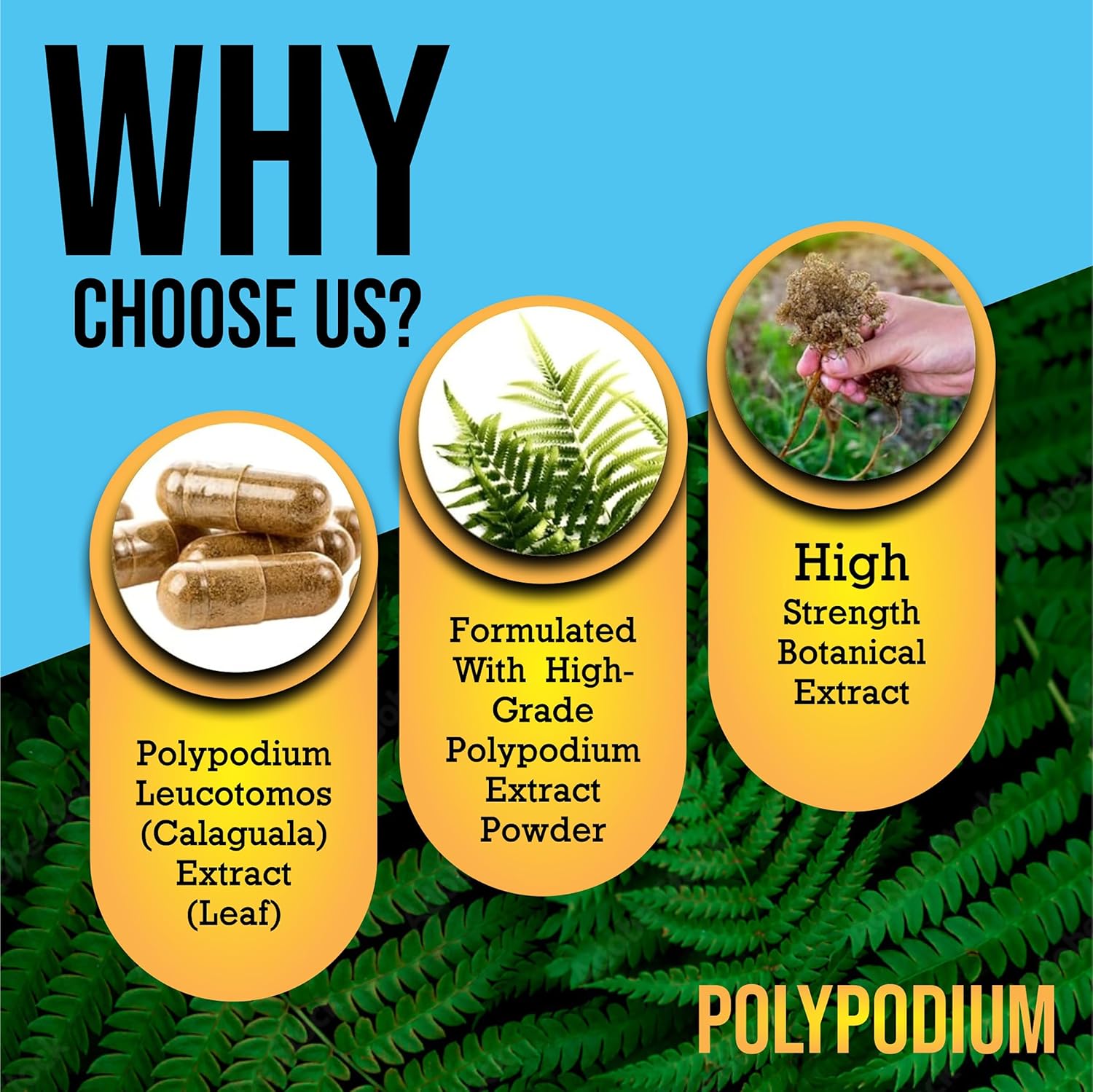 Antioxidant-Rich Skin Care Capsules with Vitamin B3 and Fern Extract for Summer-Ready Skin