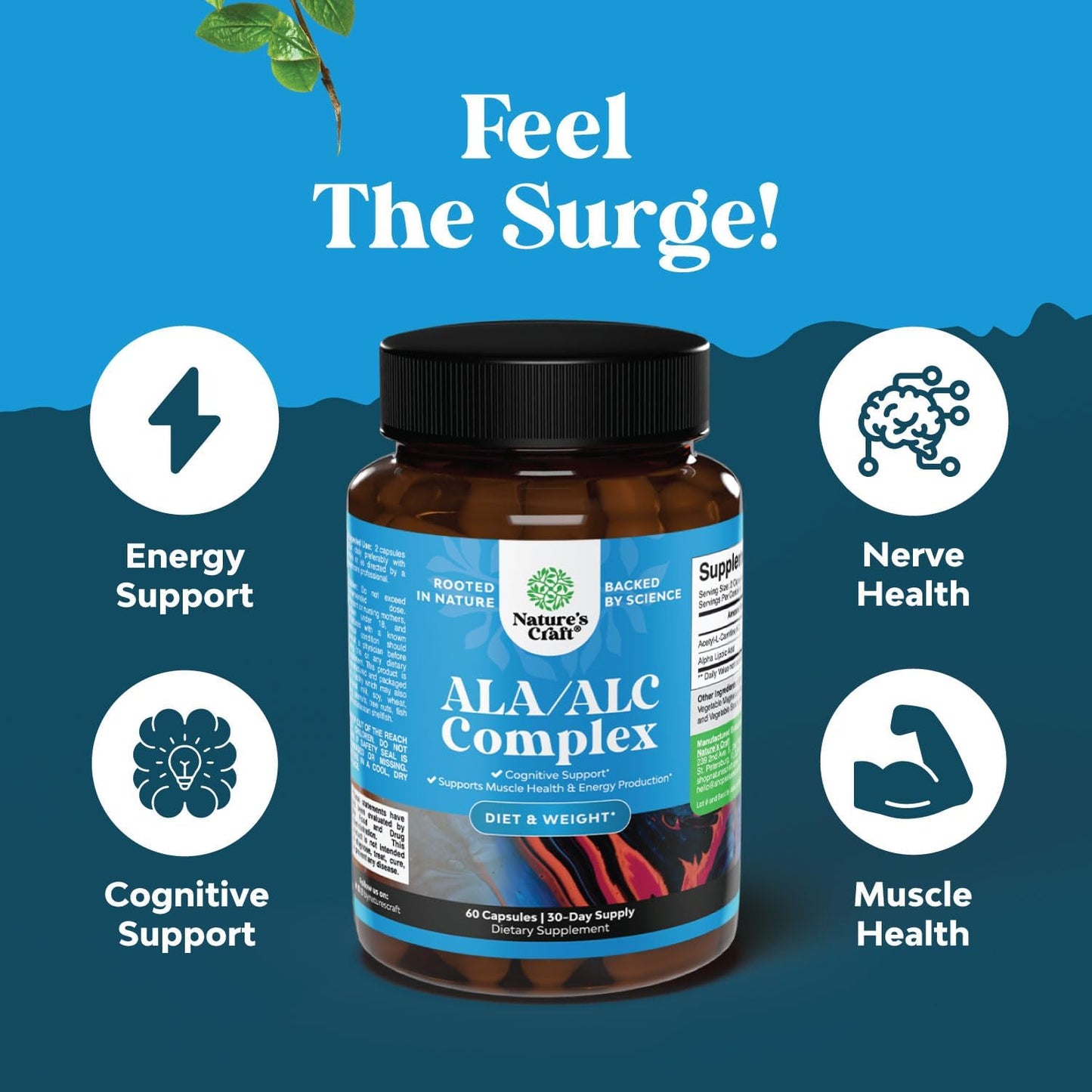 Antioxidant Supplement with ALC and Alpha Lipoic Acid - Essential Fatty Acids for Skin Health - Metabolism Booster for Weight Loss - AMPK Activator