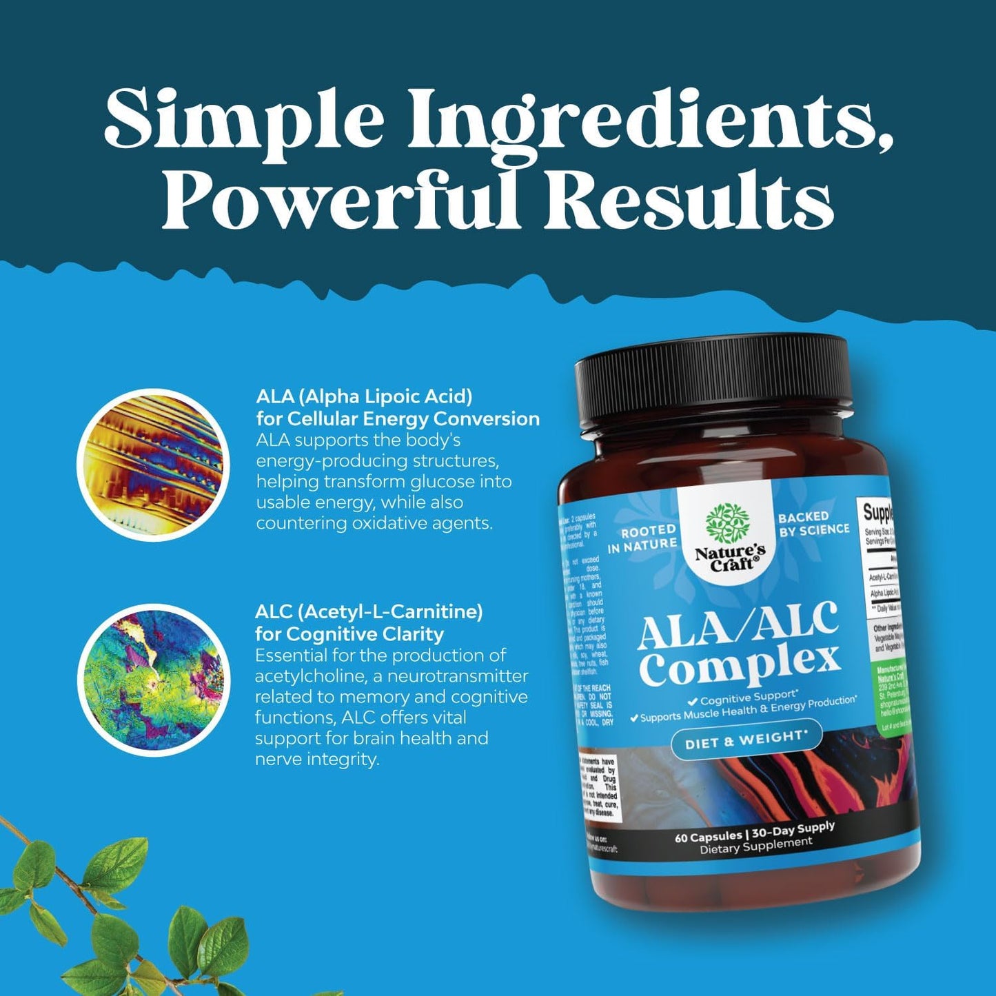 Antioxidant Supplement with ALC and Alpha Lipoic Acid - Essential Fatty Acids for Skin Health - Metabolism Booster for Weight Loss - AMPK Activator