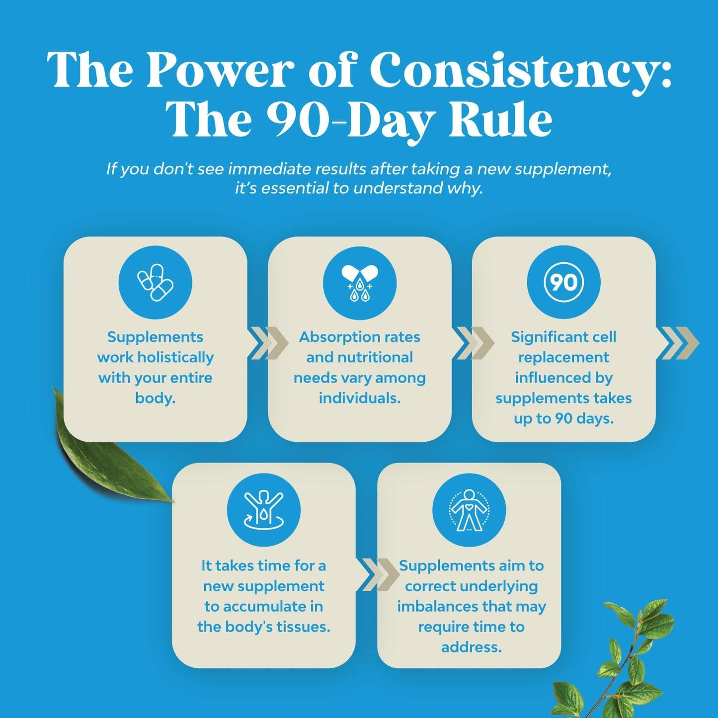 Antioxidant Supplement with ALC and Alpha Lipoic Acid - Essential Fatty Acids for Skin Health - Metabolism Booster for Weight Loss - AMPK Activator