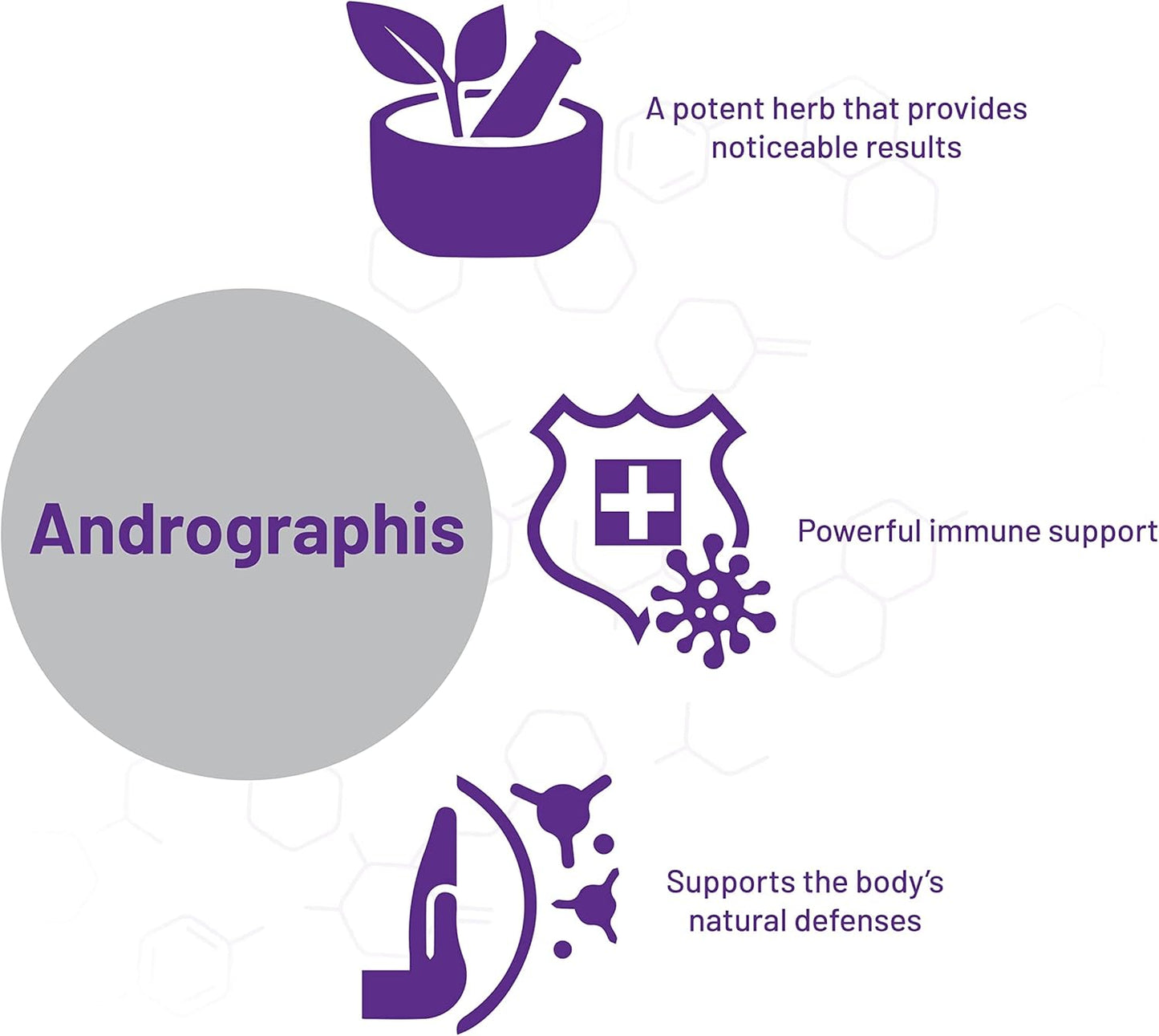 AOR Andrographis Herbal Supplement - 120 Capsules for Immune Support