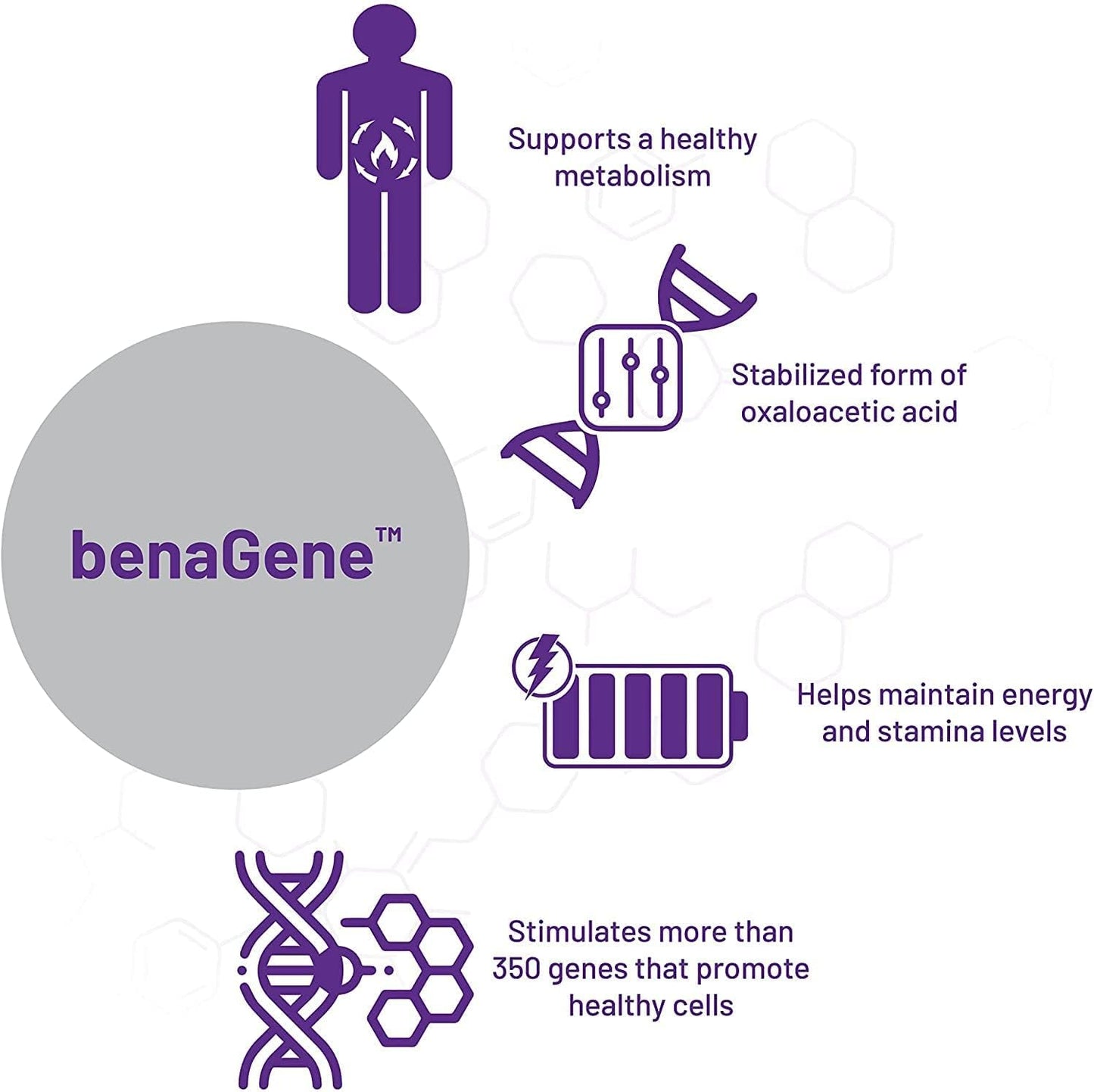 AOR benaGene Dietary Supplement for Healthy Aging, Energy, and Longevity - 30 Capsules