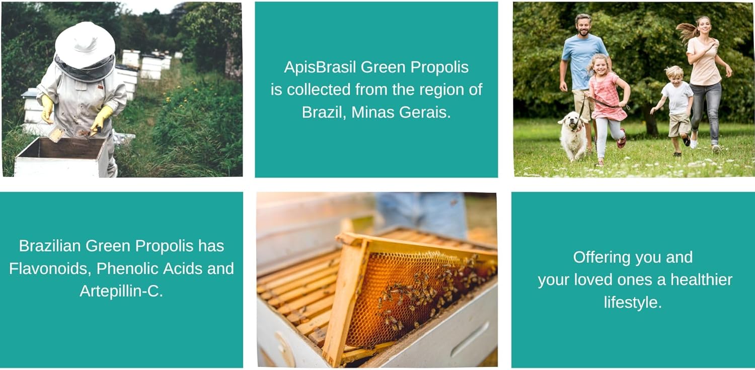 ApisBrasil Brazilian Green Bee Propolis Liquid Extract 21% (30ml) - Immune Support and Antioxidant - Single Pack