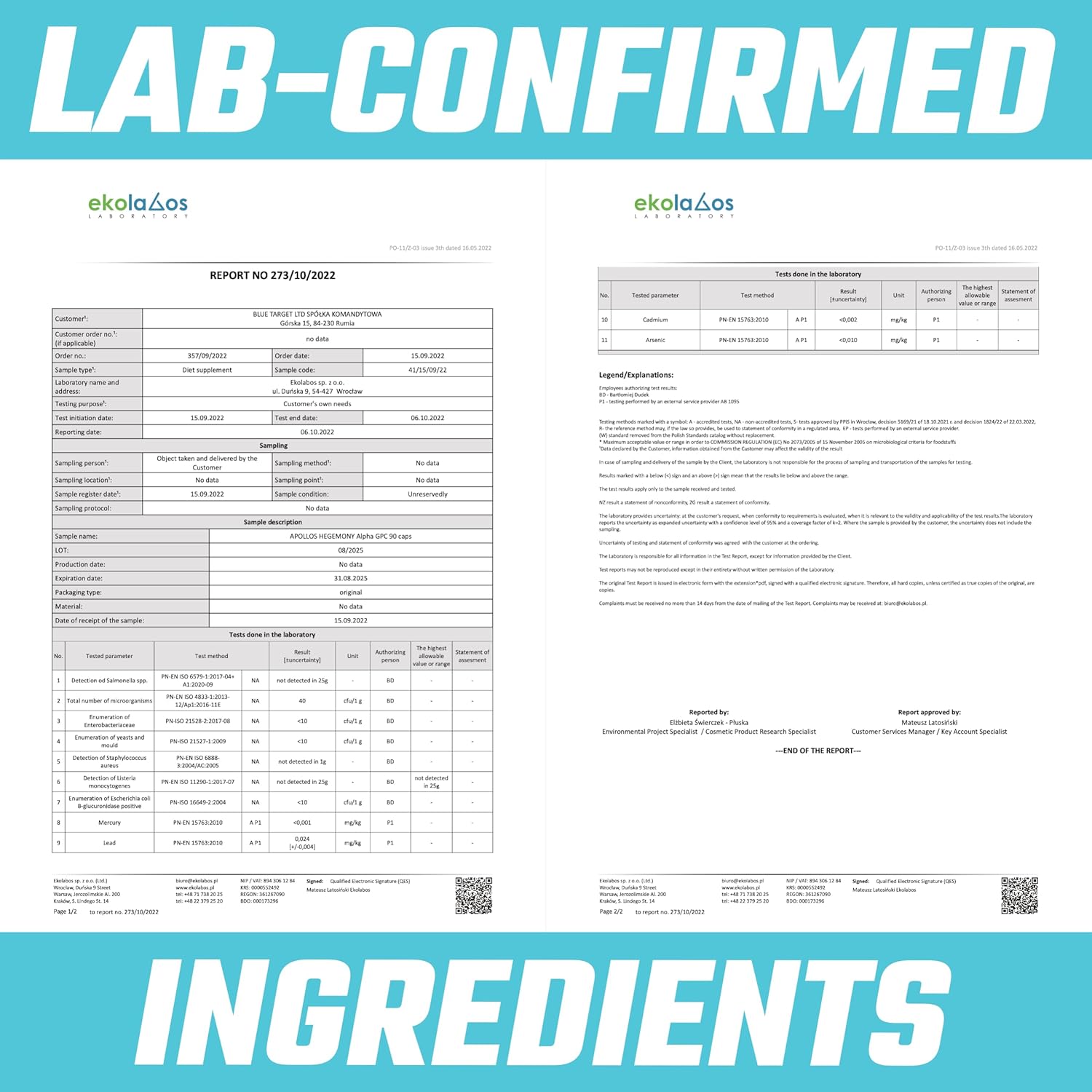 APOLLO'S HEGEMONY Alpha-GPC 600mg per Daily Dose - 90 Vegan Choline Capsules - 99% Choline Alfoscerate Dietary Supplement - Lipid Choline - Memory and Concentration Capsules