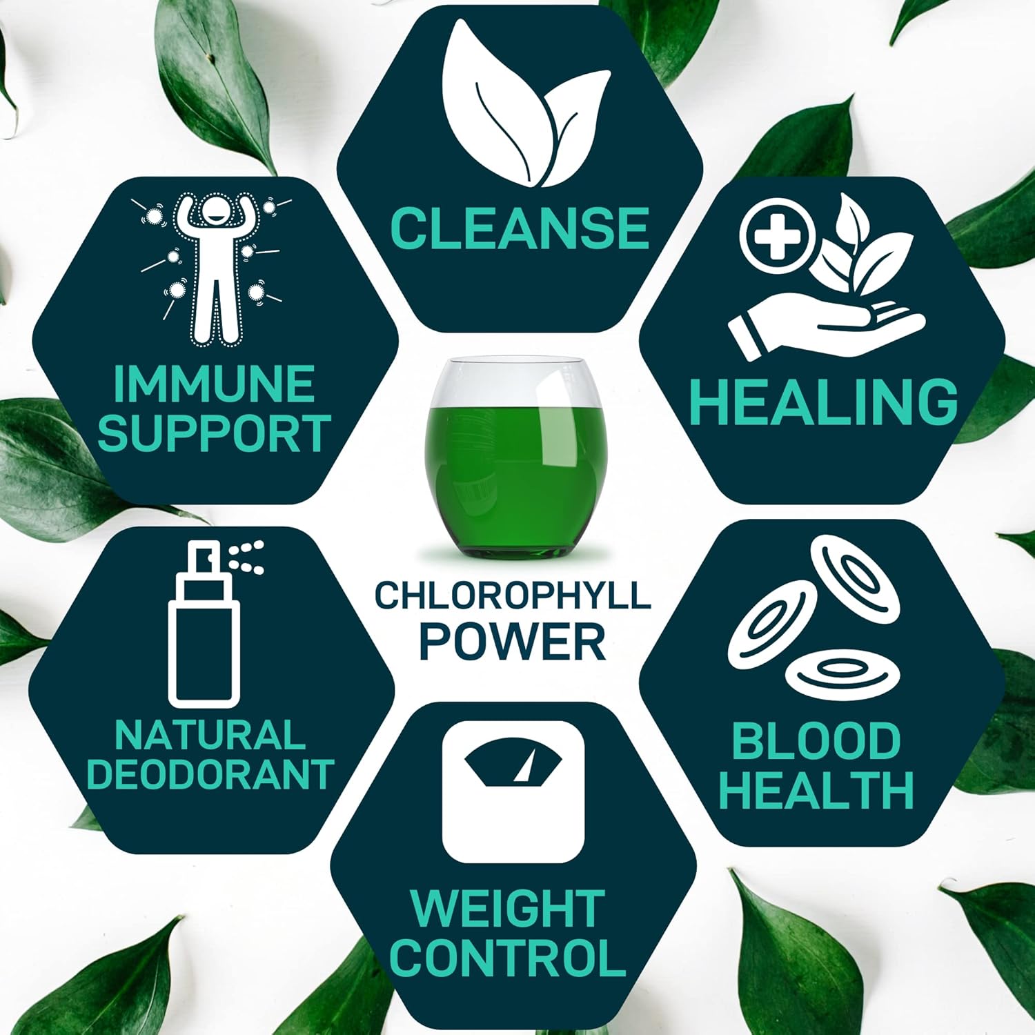 Appetite Suppressant and Liquid Chlorophyll Drops Detox Bundle by WILD FUEL