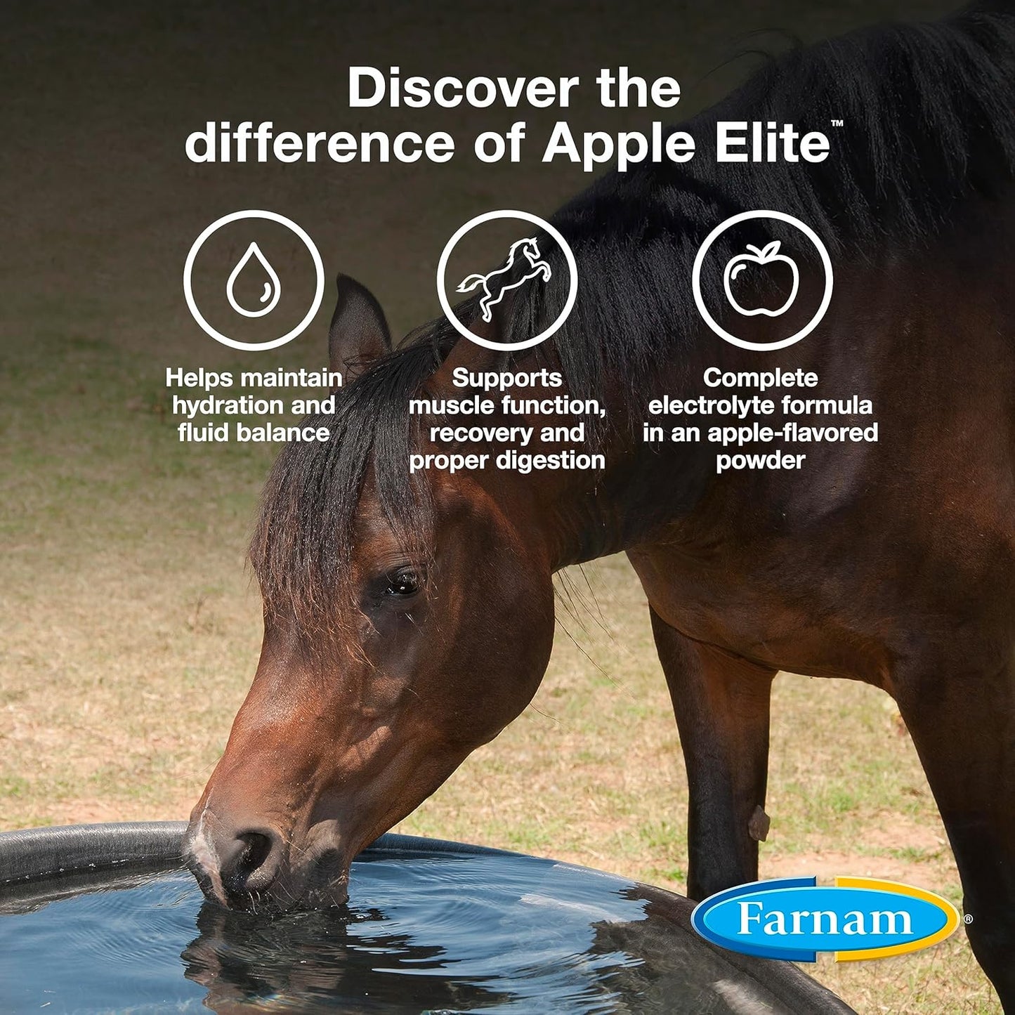 Apple Elite Horse Electrolyte Powder by Farnam - Replenishes Minerals Lost During Exercise & Stress, 20 lbs.