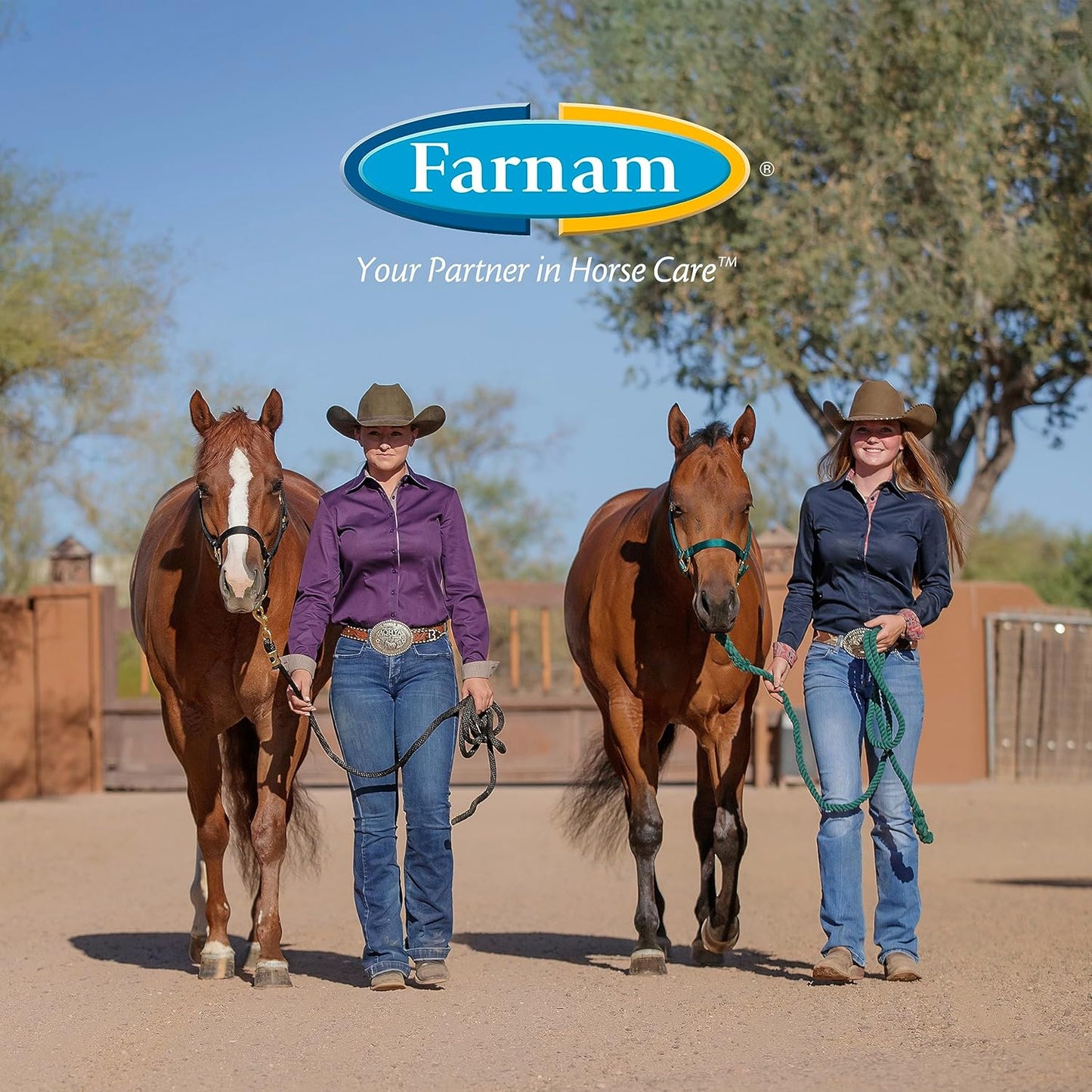 Apple Elite Horse Electrolyte Powder by Farnam - Replenishes Minerals Lost During Exercise & Stress, 20 lbs.