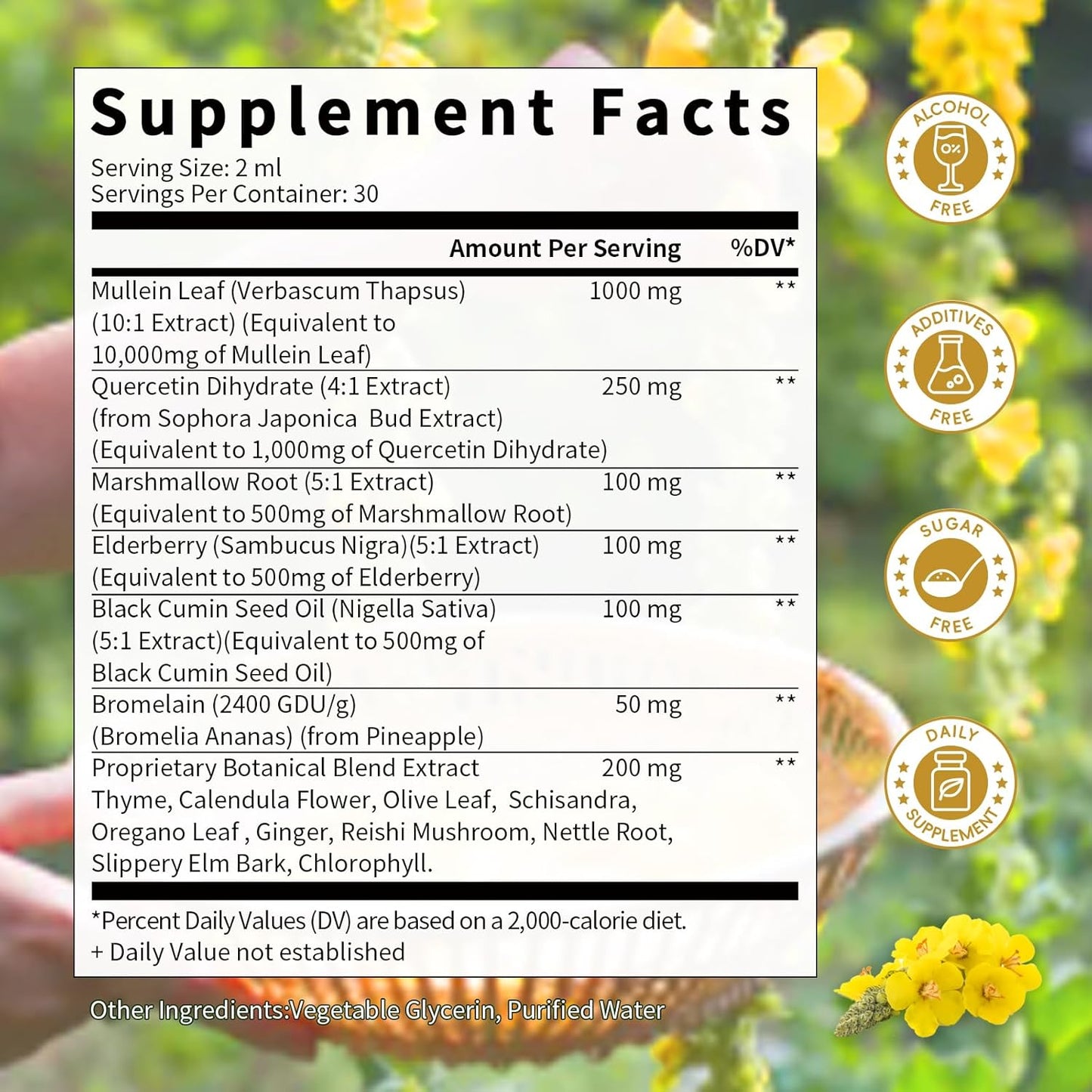 Apple Flavored Catfit Mullein Drops - Mullein Leaf Extract Supplement for Lung Health - 2 Fl Oz Tincture for Immune & Respiratory Support