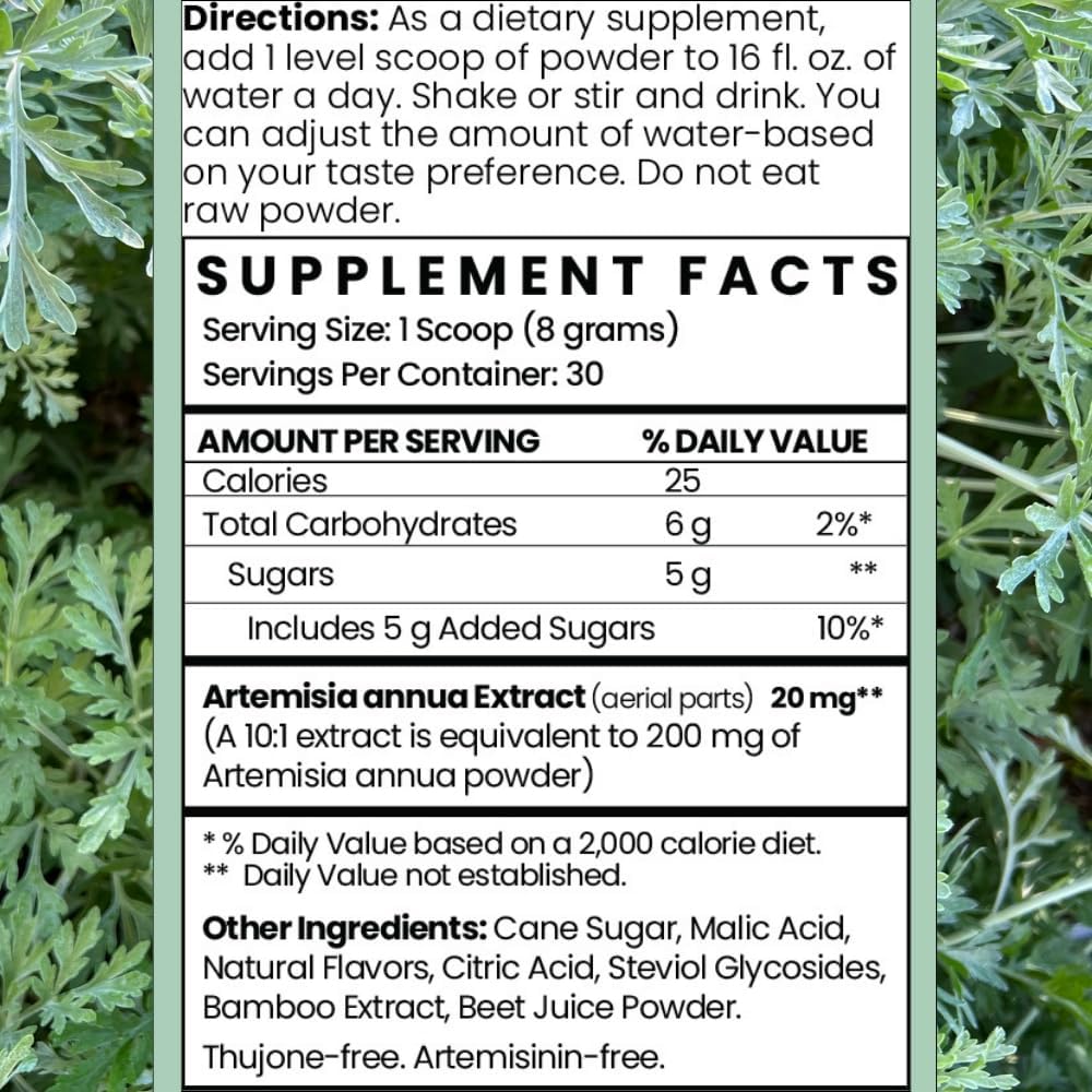 Artemisia Annua Immune Powder - Supports Brain, Gut and Immune Health - Sweet Wormwood Extract - 30 Servings - 8.5 Oz