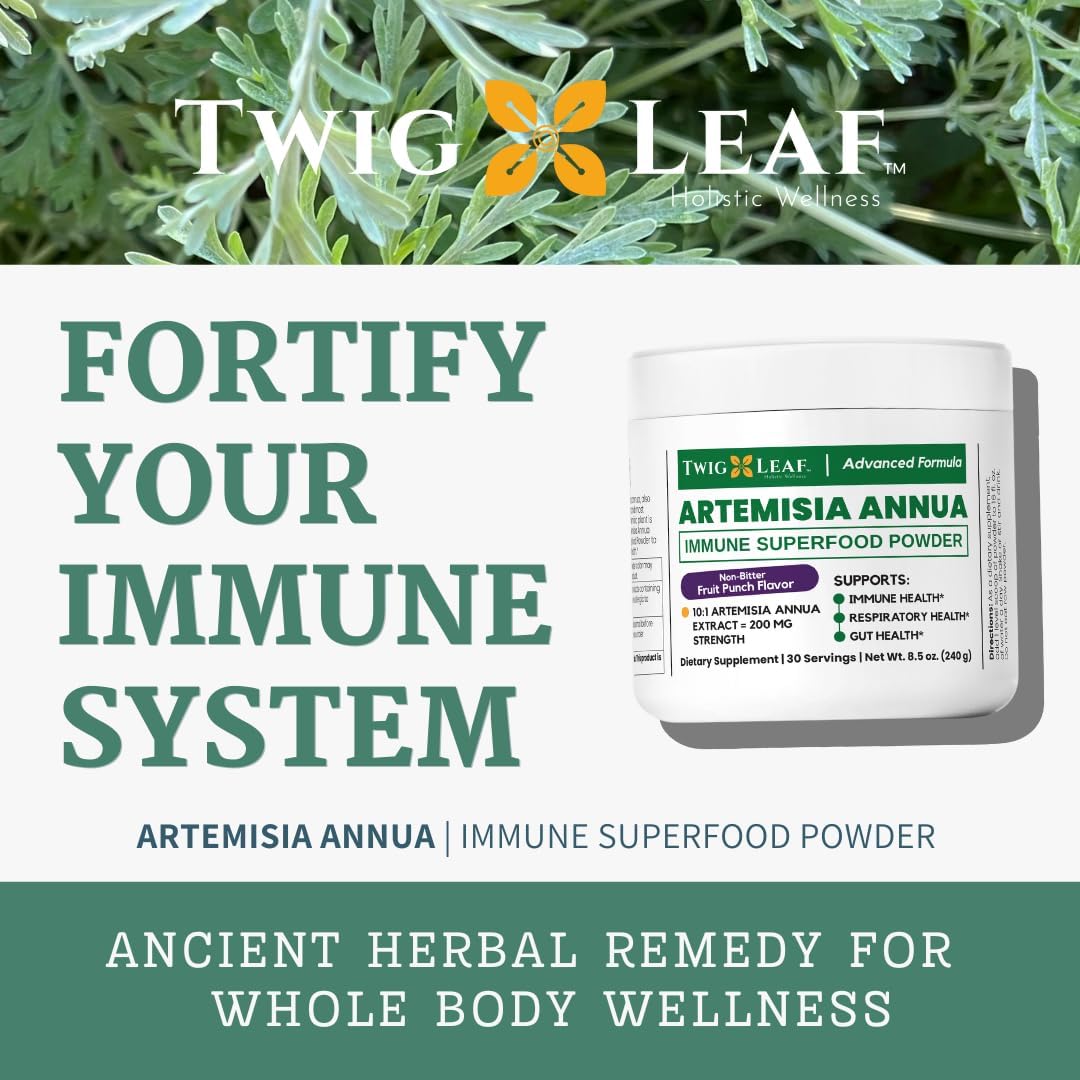 Artemisia Annua Immune Powder - Supports Brain, Gut and Immune Health - Sweet Wormwood Extract - 30 Servings - 8.5 Oz