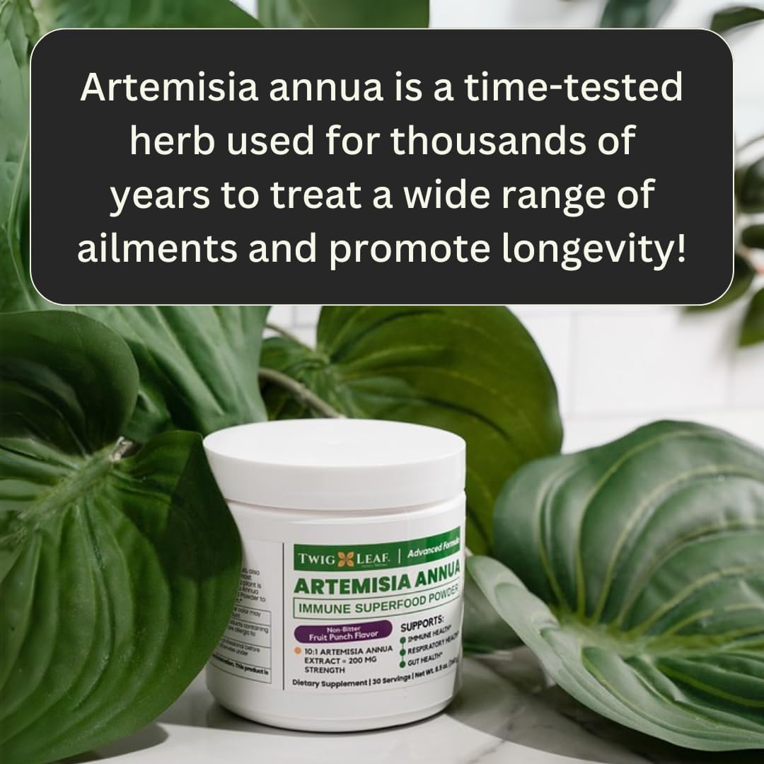 Artemisia Annua Immune Powder - Supports Brain, Gut and Immune Health - Sweet Wormwood Extract - 30 Servings - 8.5 Oz