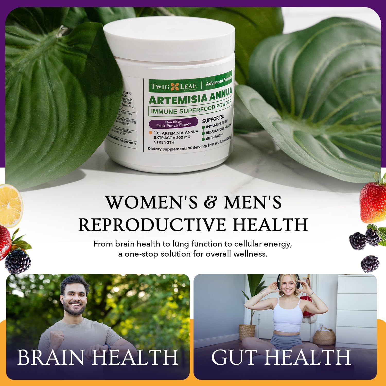 Artemisia Annua Immune Powder - Supports Brain, Gut and Immune Health - Sweet Wormwood Extract - 30 Servings - 8.5 Oz