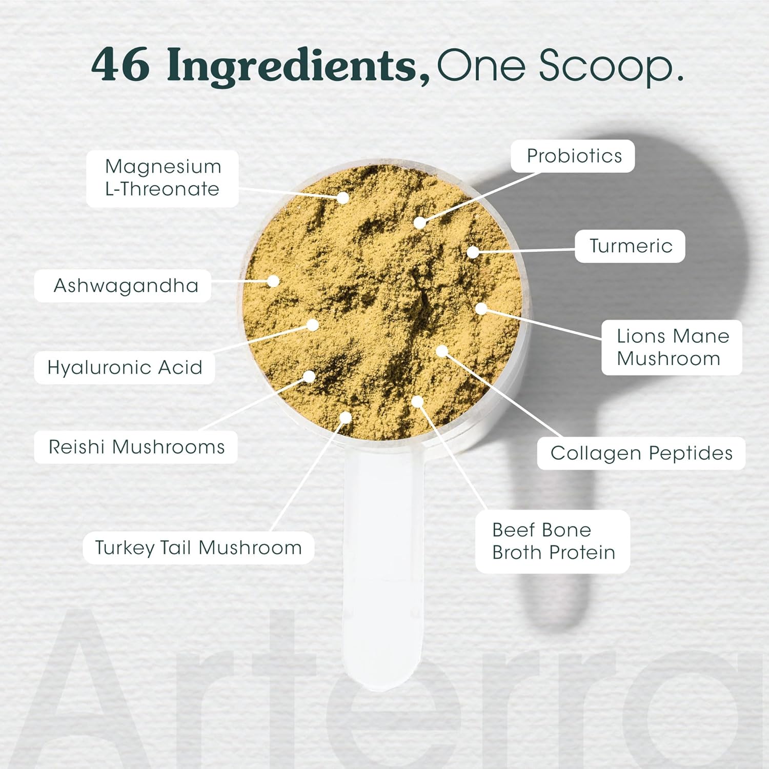 Arterra Pet Science Advanced Wellness Dog Supplement with 46 Premium Ingredients for Aging Health, Joints, Cognition, Skin, Gut & Organs - Vet-Formulated for Adult Dogs 1-7 Yrs, 19.6 oz