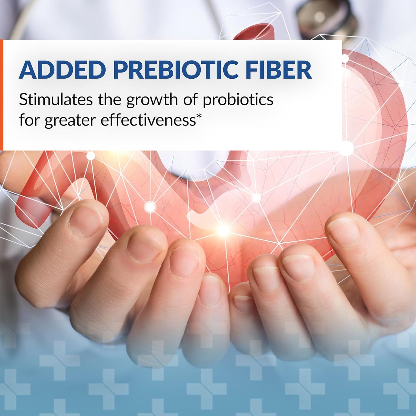 Arthur Andrew Medical Syntol: 90 Capsules of 3-in-1 Probiotic, Prebiotic Fiber, and Yeast Cleansing Enzymes