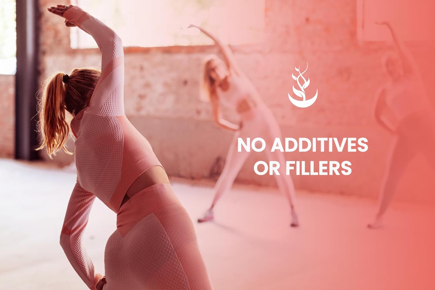 Artichoke Extract Capsules - 730 Count, Pure Ingredients, No Magnesium or Rice Fillers, Lab Verified