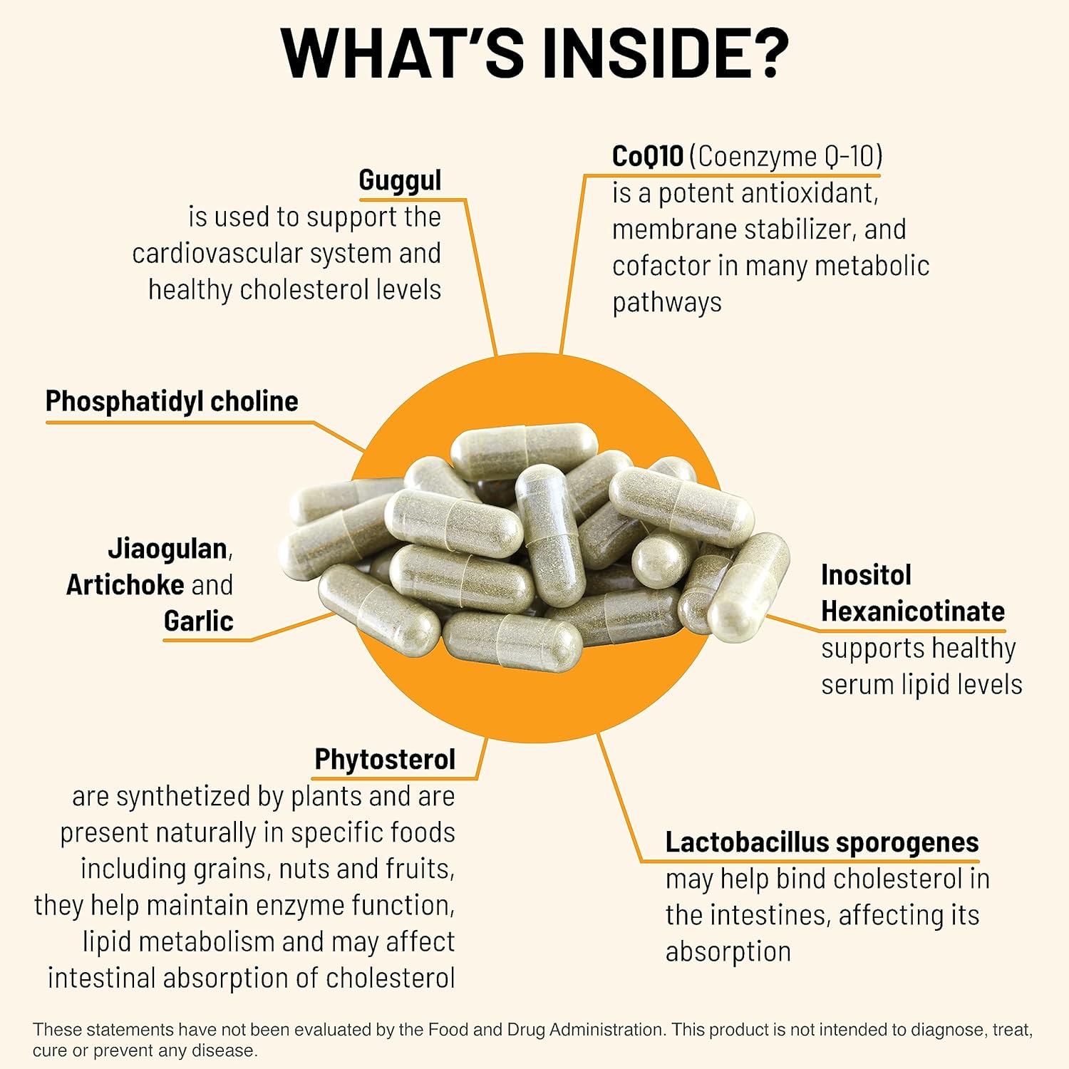 Artichoke Extract Cholesterol Support Supplement - Promotes Healthy Cholesterol Levels - Hypoallergenic Vegetarian Capsules - 90 Count
