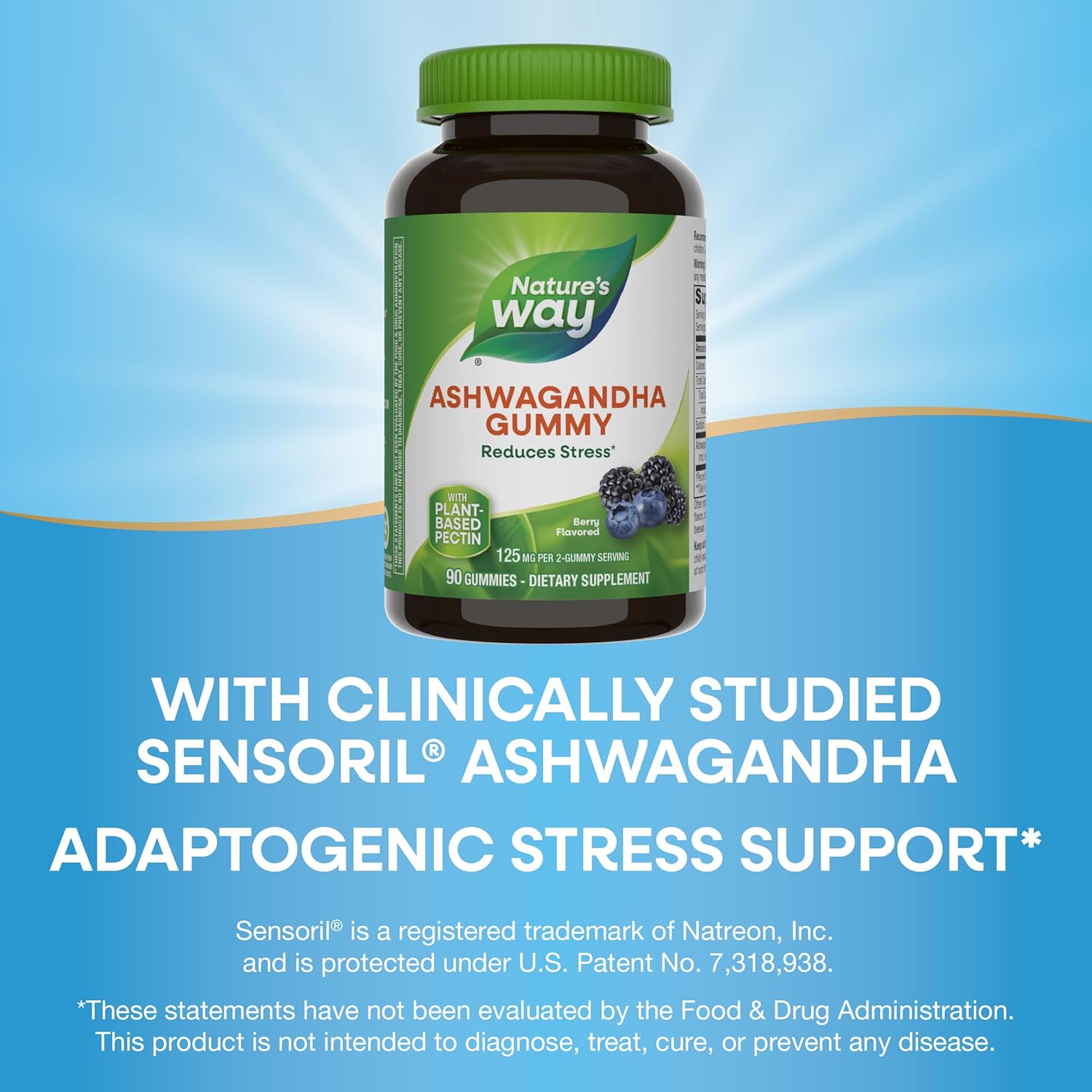 Ashwagandha Berry Flavored Gummies, 125mg Per Serving, Stress-Reducing Adaptogenic Herb, 90 Gummies