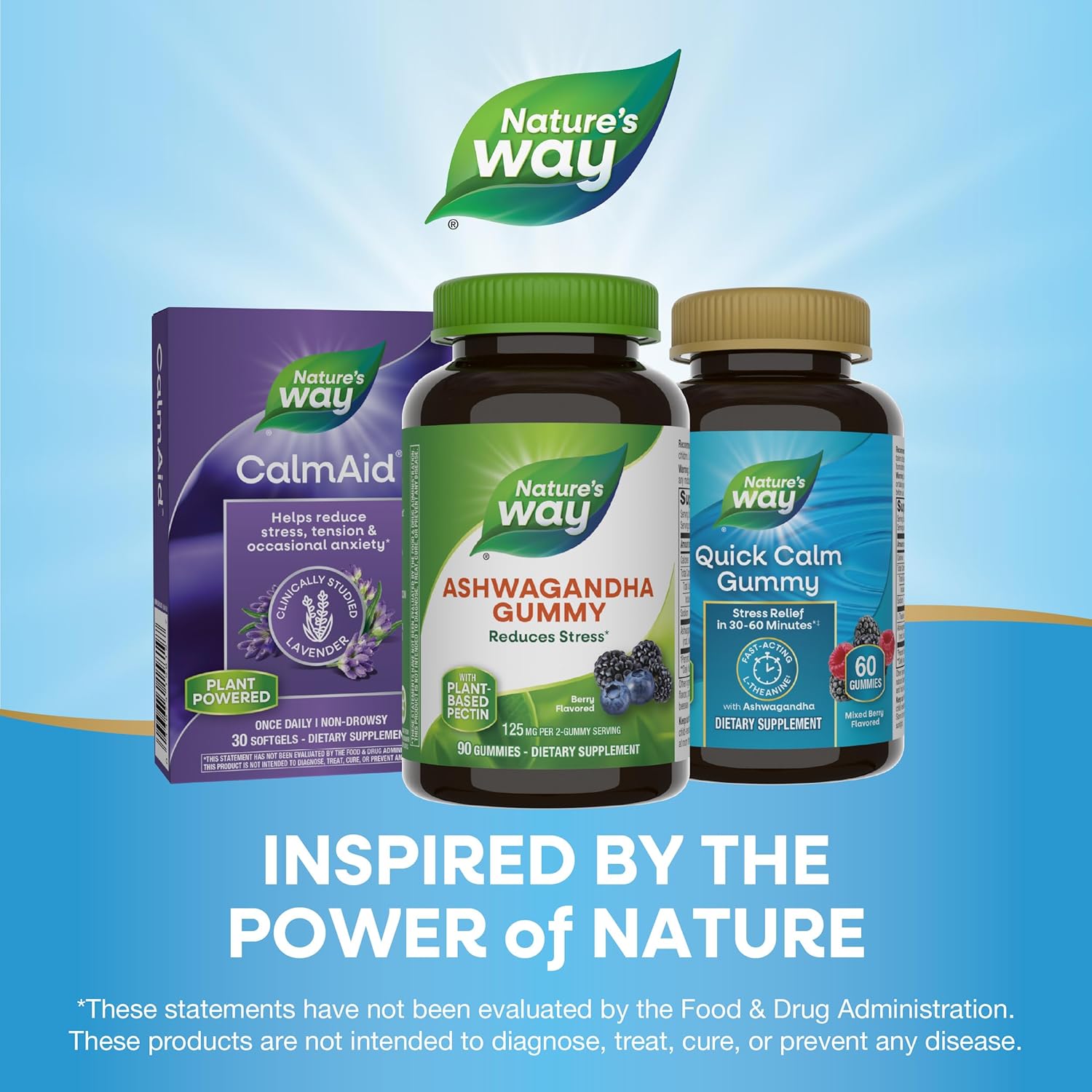 Ashwagandha Berry Flavored Gummies, 125mg Per Serving, Stress-Reducing Adaptogenic Herb, 90 Gummies