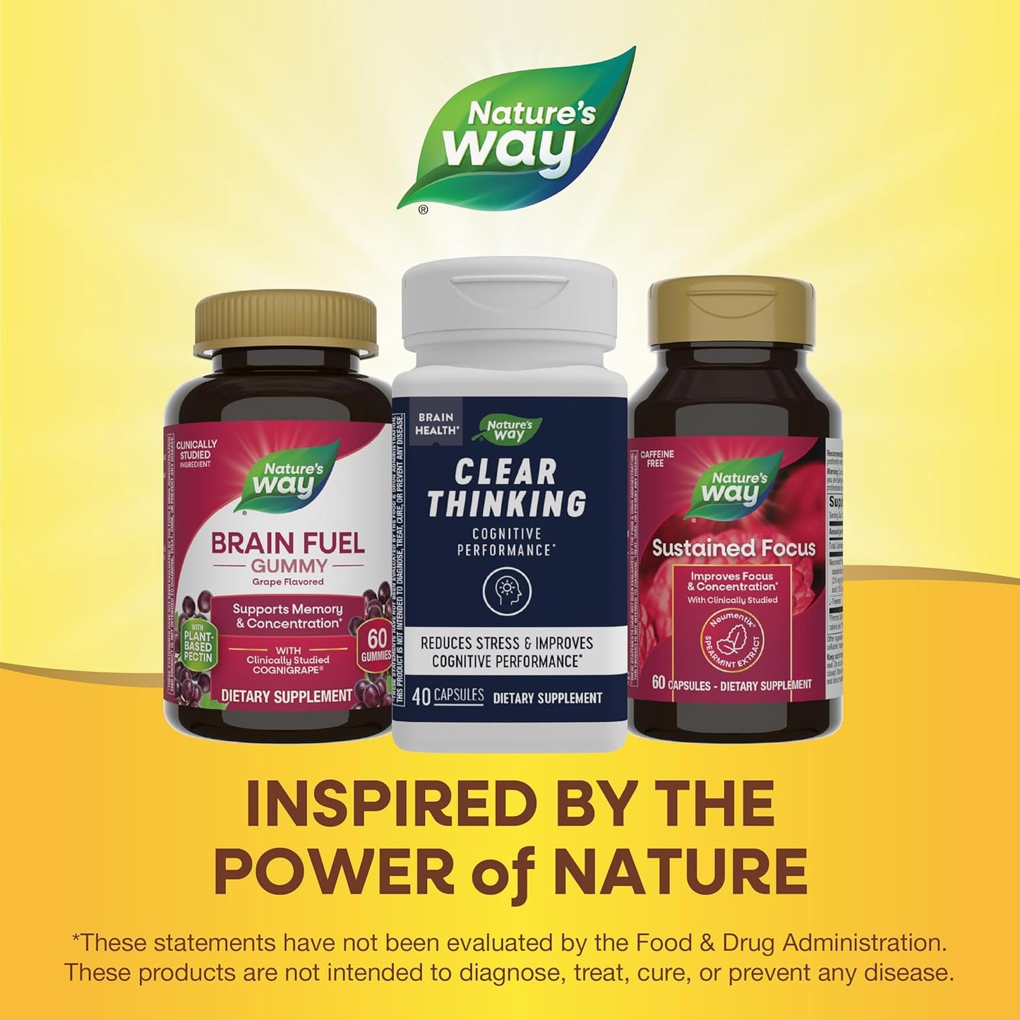 Ashwagandha Capsules for Clear Thinking & Stress Reduction - 40 Capsules