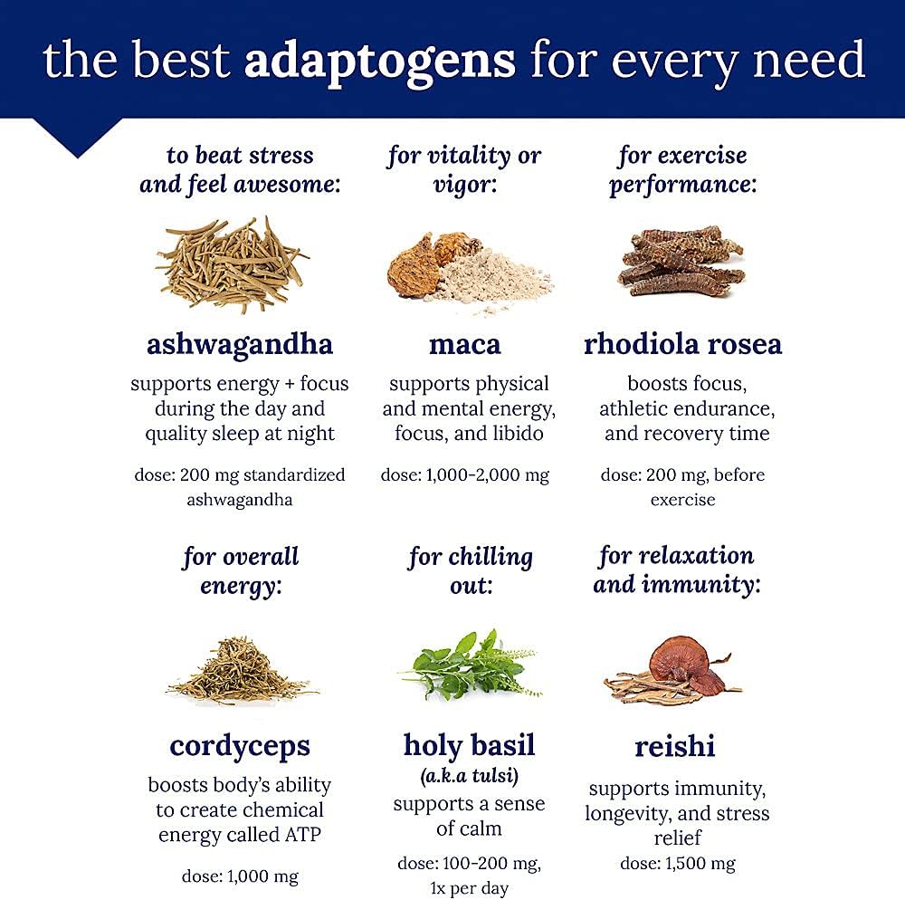 Ashwagandha Extract 470MG Capsules - Herbal Supplement for Energy, Vitality, & Stress Management by The Vitamin Shoppe