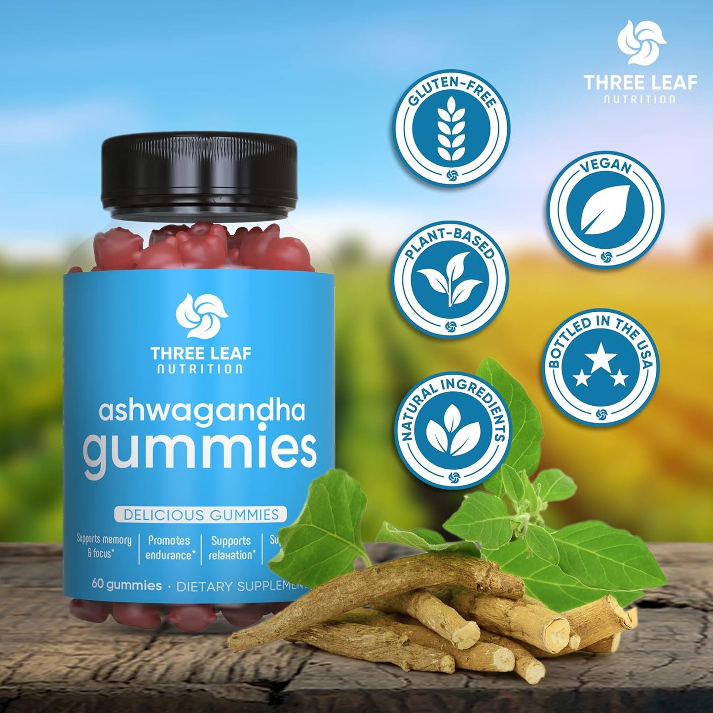 Ashwagandha Gummies for Focus, Memory, & Energy - 60 Count - Men & Women - Three Leaf Nutrition Supplement