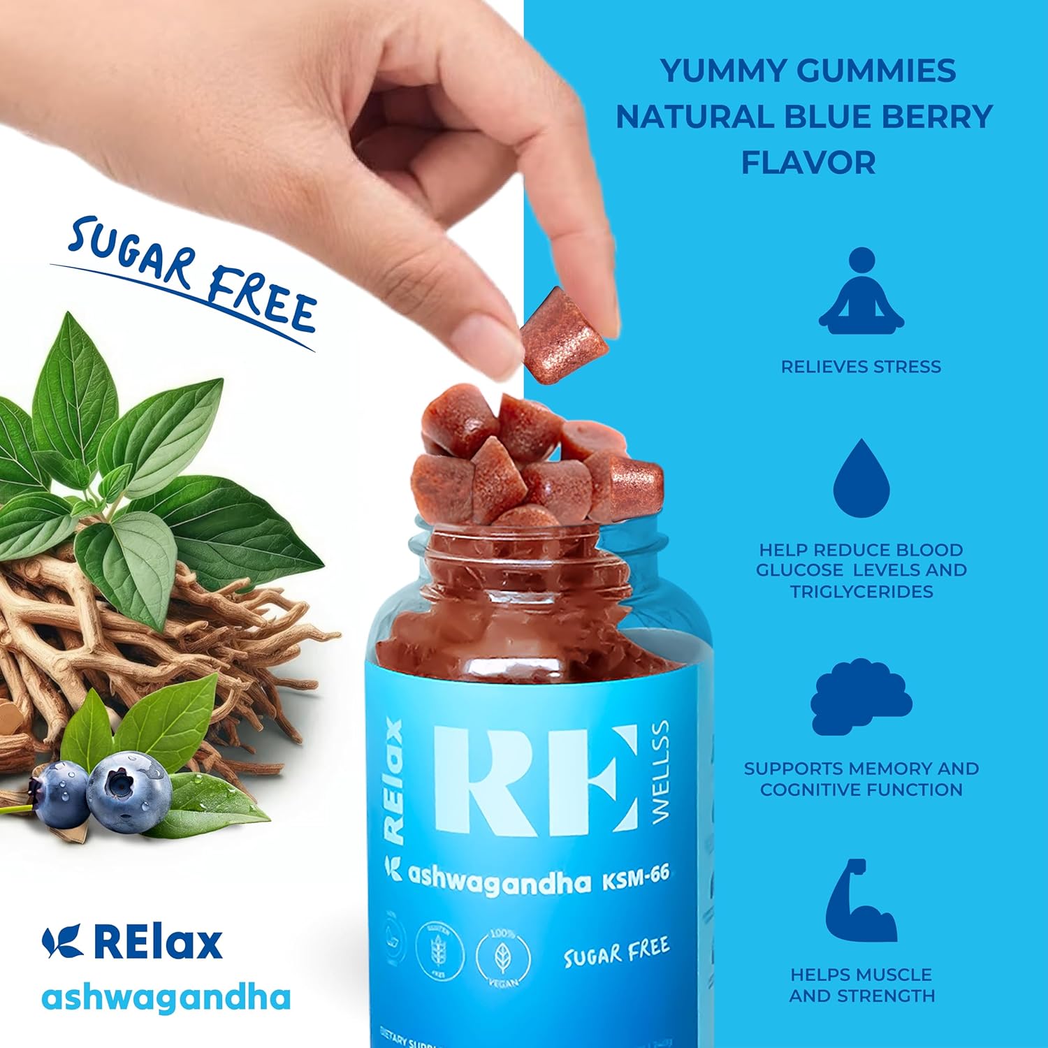 Ashwagandha Gummies with KSM-66 Root, L-Theanine, Vitamin D | Sugar-Free Immune Support & Stress Relief | Dietary Supplement