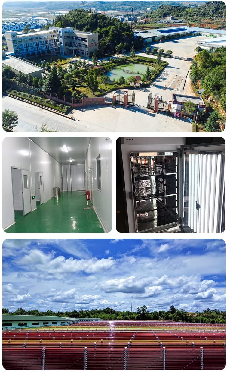 Astaxanthin Micro-Capsule Powder 2.5% HPLC, CWS Instant, 100g (3.5oz) - WonderLand Herbs Hematococcus Pluvialis Extract