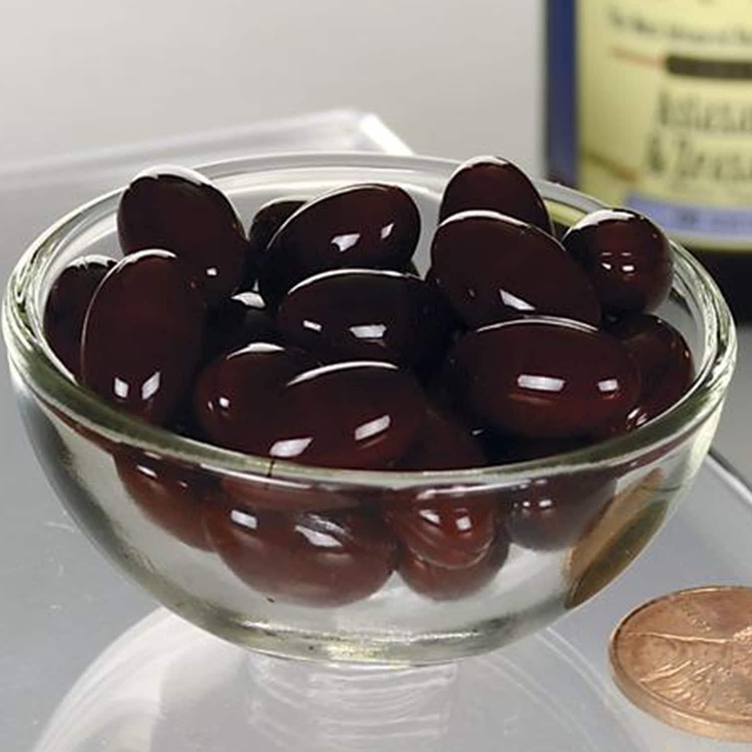 Astaxanthin & Zeaxanthin Antioxidant Supplement for Eye, Brain, and Skin Health - 240 Softgels