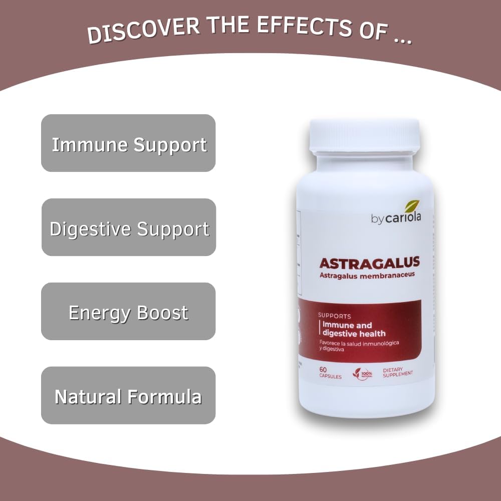 Astragalus Capsules for Immune & Digestive Support - Boost Energy with Natural Formula - Astragalus membranaceus - 60 Count