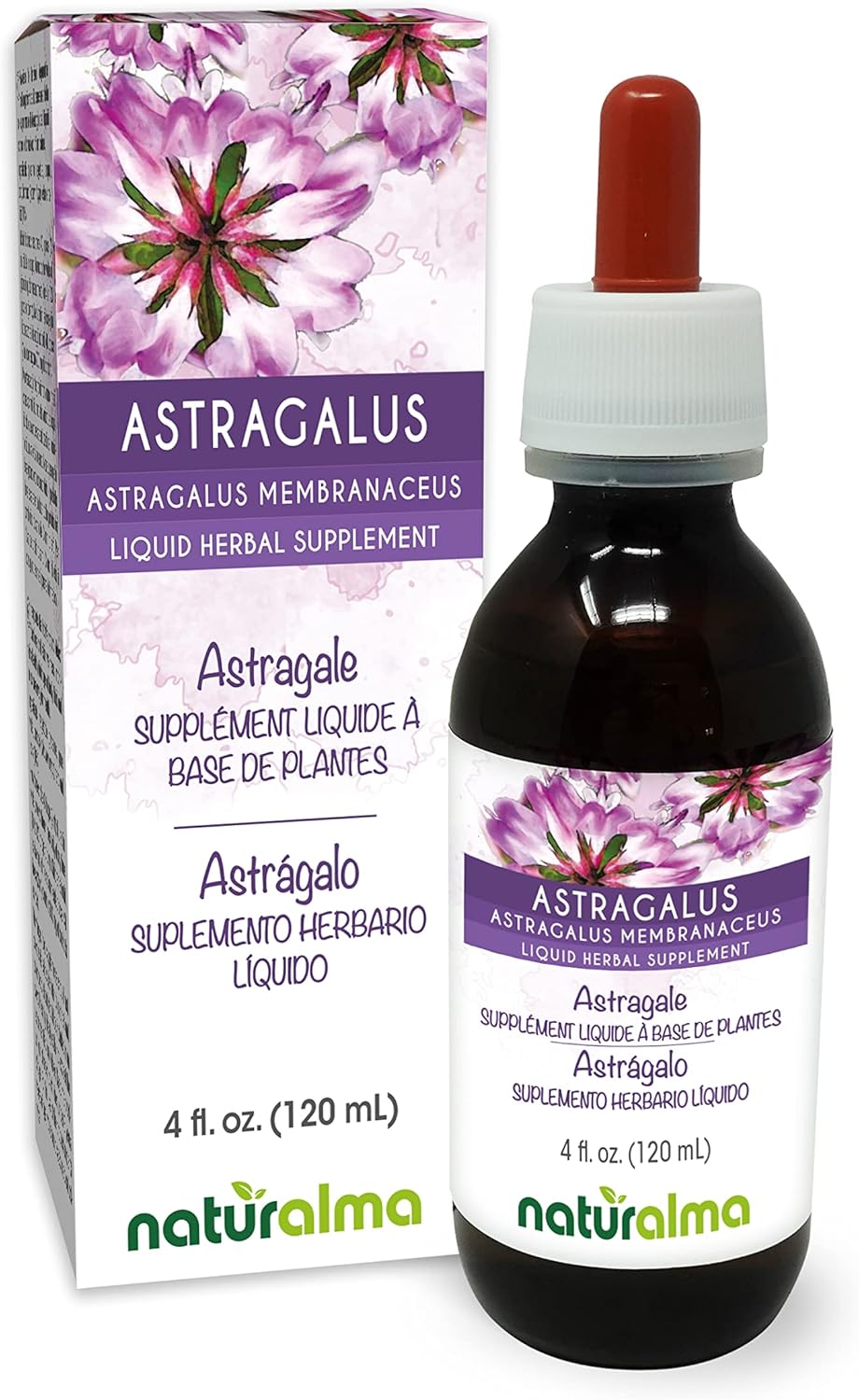 Astragalus Membranaceus Root Alcohol-Free Tincture - 4 fl oz Liquid Extract Drops - Herbal Supplement for Vegans
