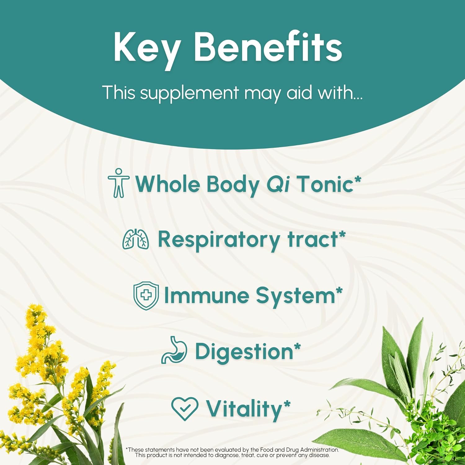 Astragalus Tincture with Five Herb Flavors - Immune, Respiratory, Digestive Support - Maca Supplement - 2 oz