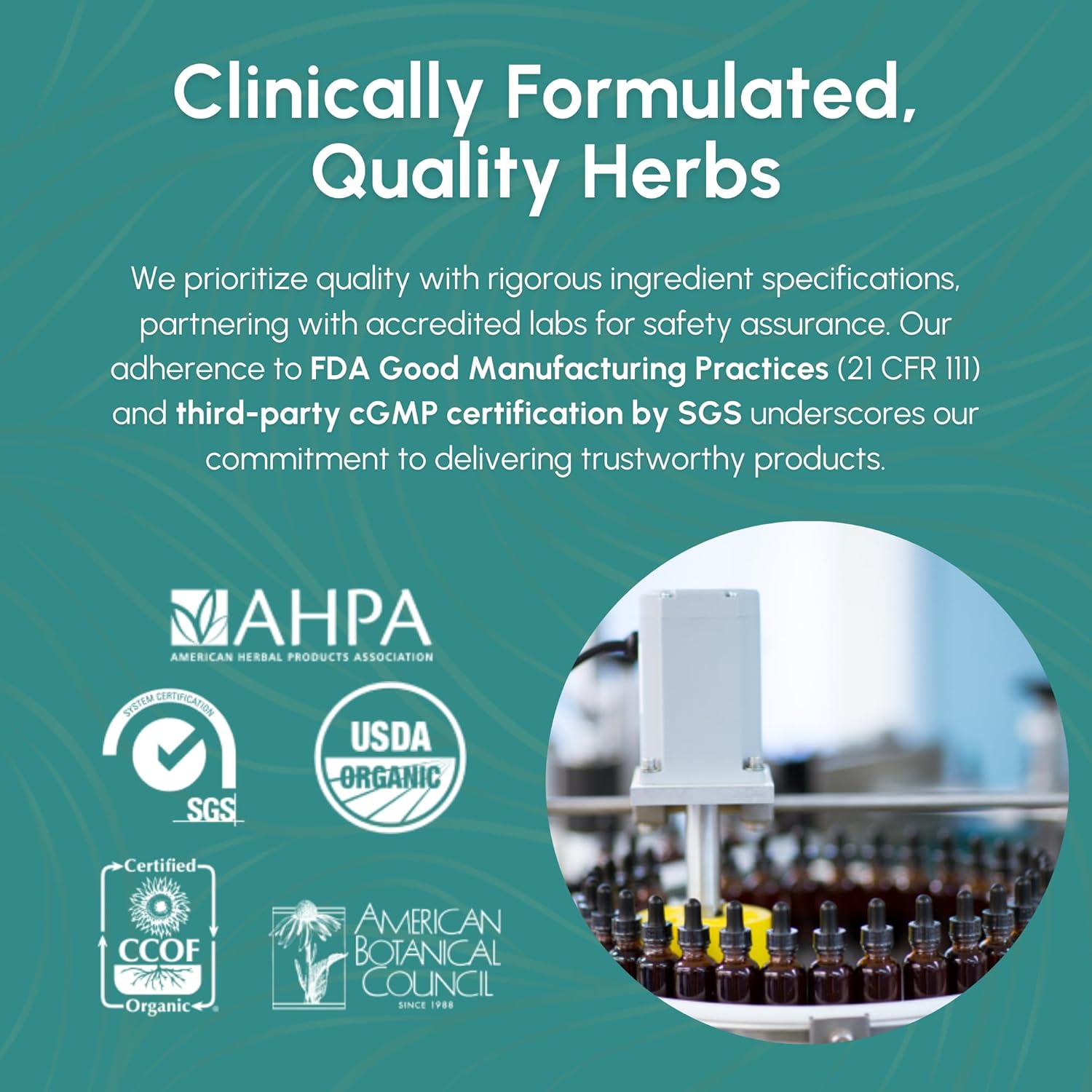 Astragalus Tincture with Five Herb Flavors - Immune, Respiratory, Digestive Support - Maca Supplement - 2 oz