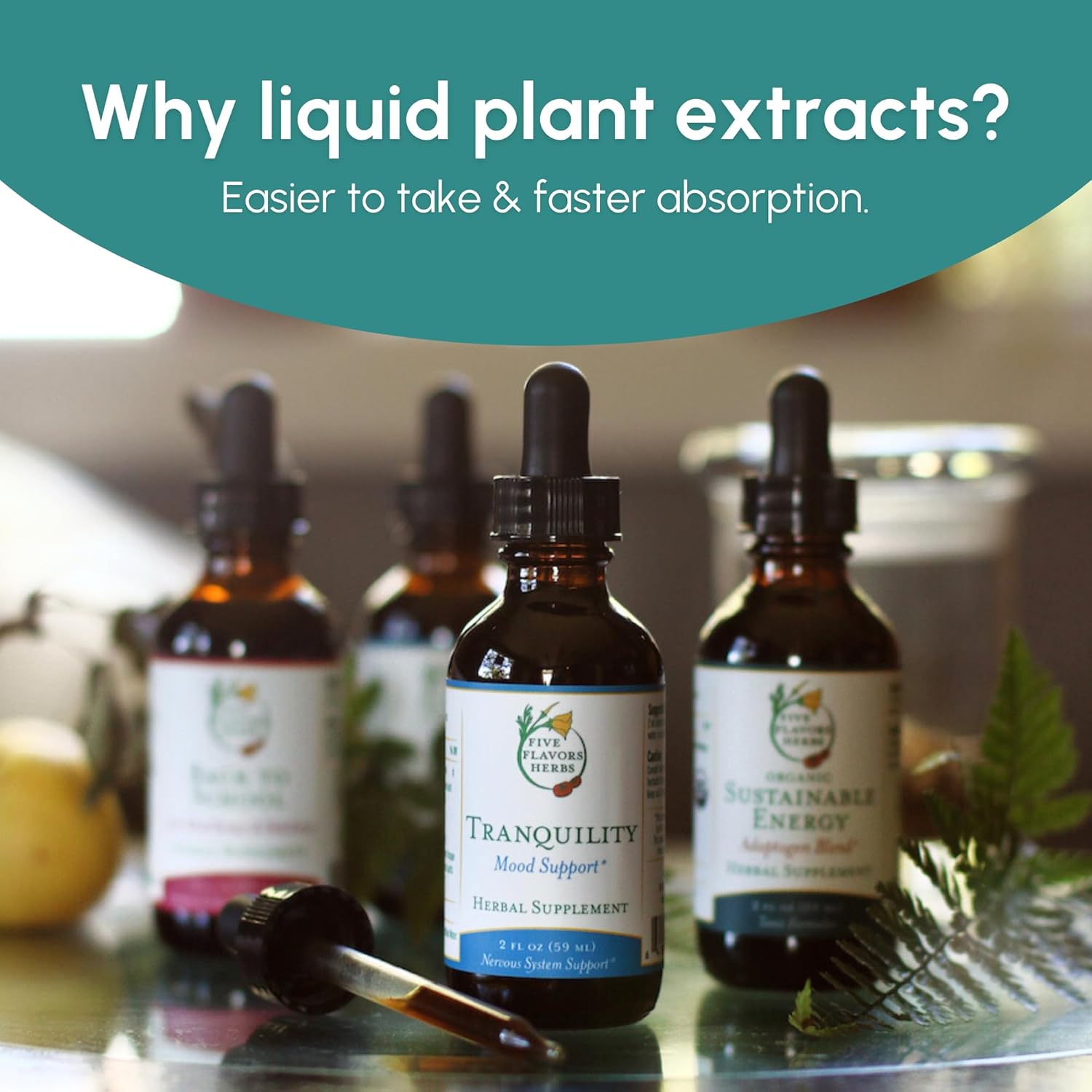 Astragalus Tincture with Five Herb Flavors - Immune, Respiratory, Digestive Support - Maca Supplement - 2 oz