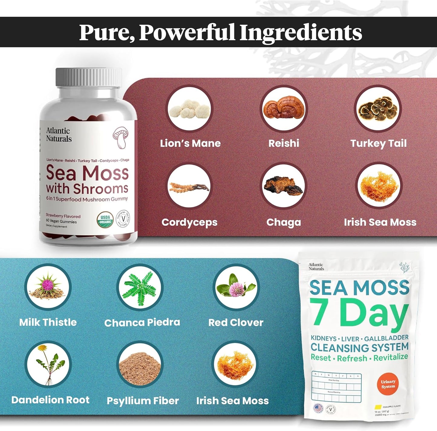 Atlantic Naturals Sea Moss Superfood Bundle with Shrooms Gummies & 7-Day Cleanse - Defense, Focus & Detox Support - BoostGo Australia