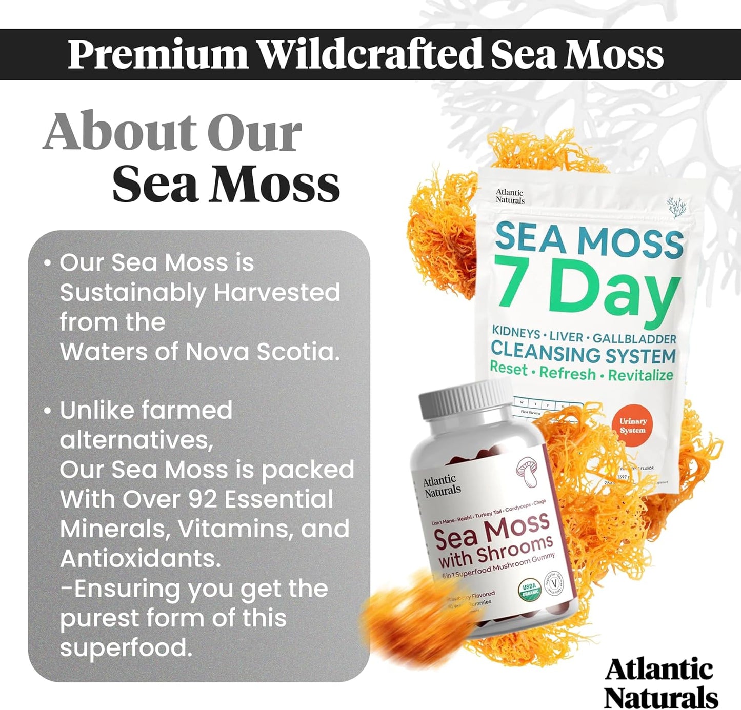 Atlantic Naturals Sea Moss Superfood Bundle with Shrooms Gummies & 7-Day Cleanse - Defense, Focus & Detox Support - BoostGo Australia