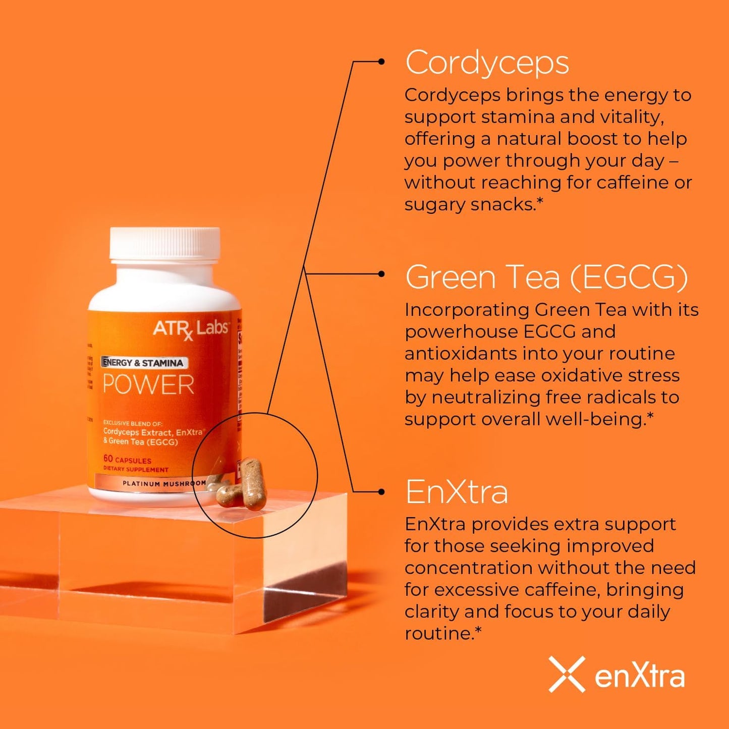 ATRx Labs Power: Mushroom Supplement for Energy & Stamina, with Cordyceps, Green Tea, Alpinia Galanga Extract - Boost Focus & Energy, Vegan, Gluten-Free - 60 Capsules