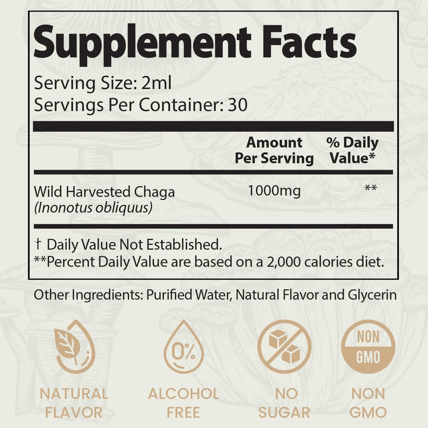 Auri Super Chaga Elixir - Mushroom Superfood Liquid Supplement for Immune Support and Energy Boost - 60ml Bottle