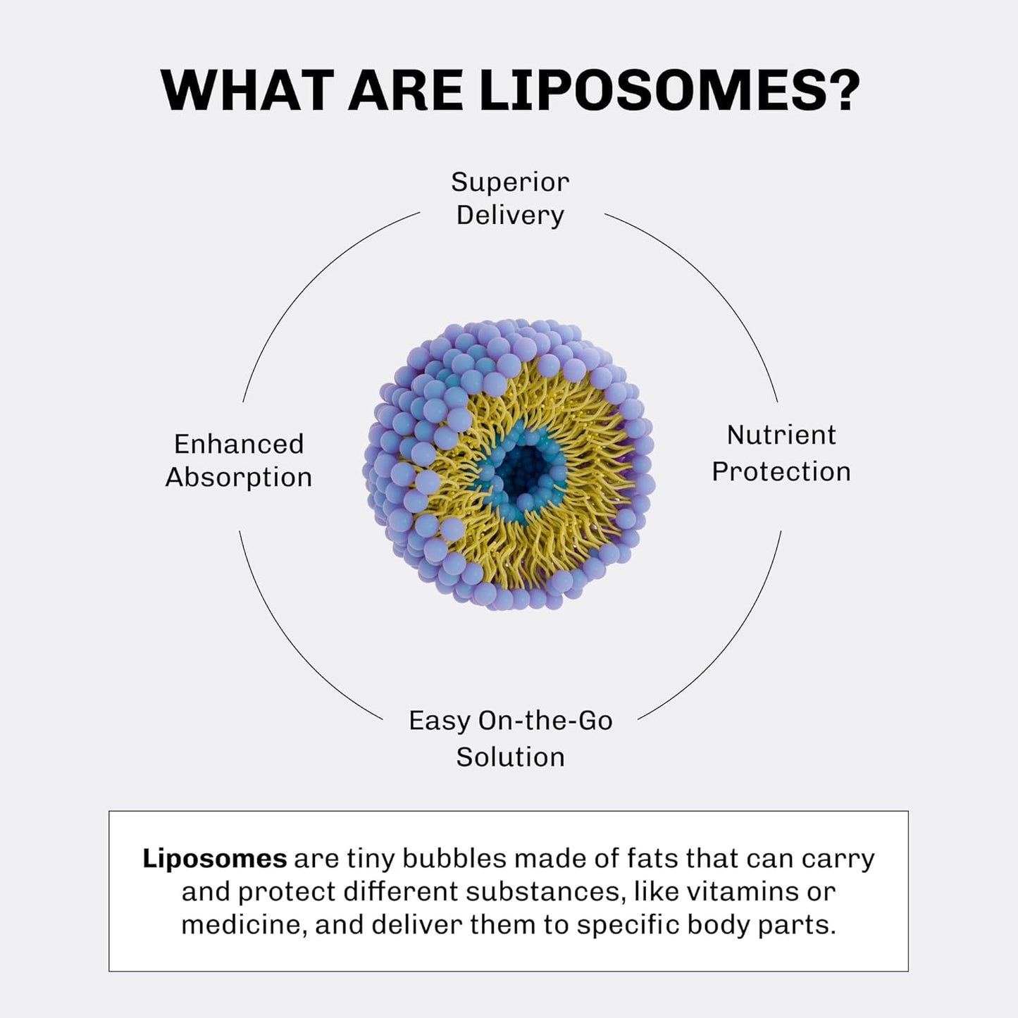 Aurora Nutrascience Mega-Liposomal Vitamin D3/K2+ with Vitamin C - Organic Fruit Flavor - Gluten Free & Non GMO - 16 fl oz - BoostGo Australia