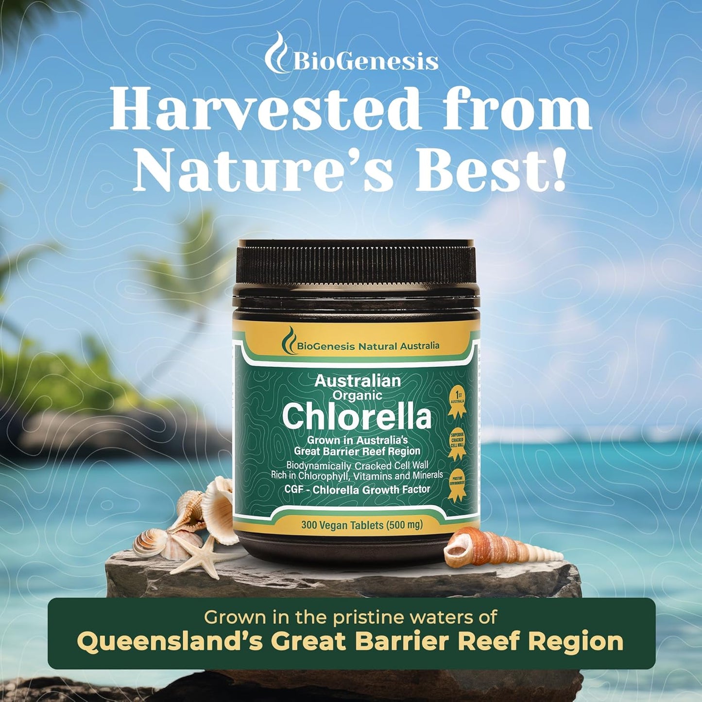 Australian Biogenesis Organic Chlorella Tablets | Advanced BioDynamic Cracked Cell Wall | Chlorophyll-Rich, Vitamins, Minerals, CGF | Supports Good Health | Vegan-friendly (300 Tablets)