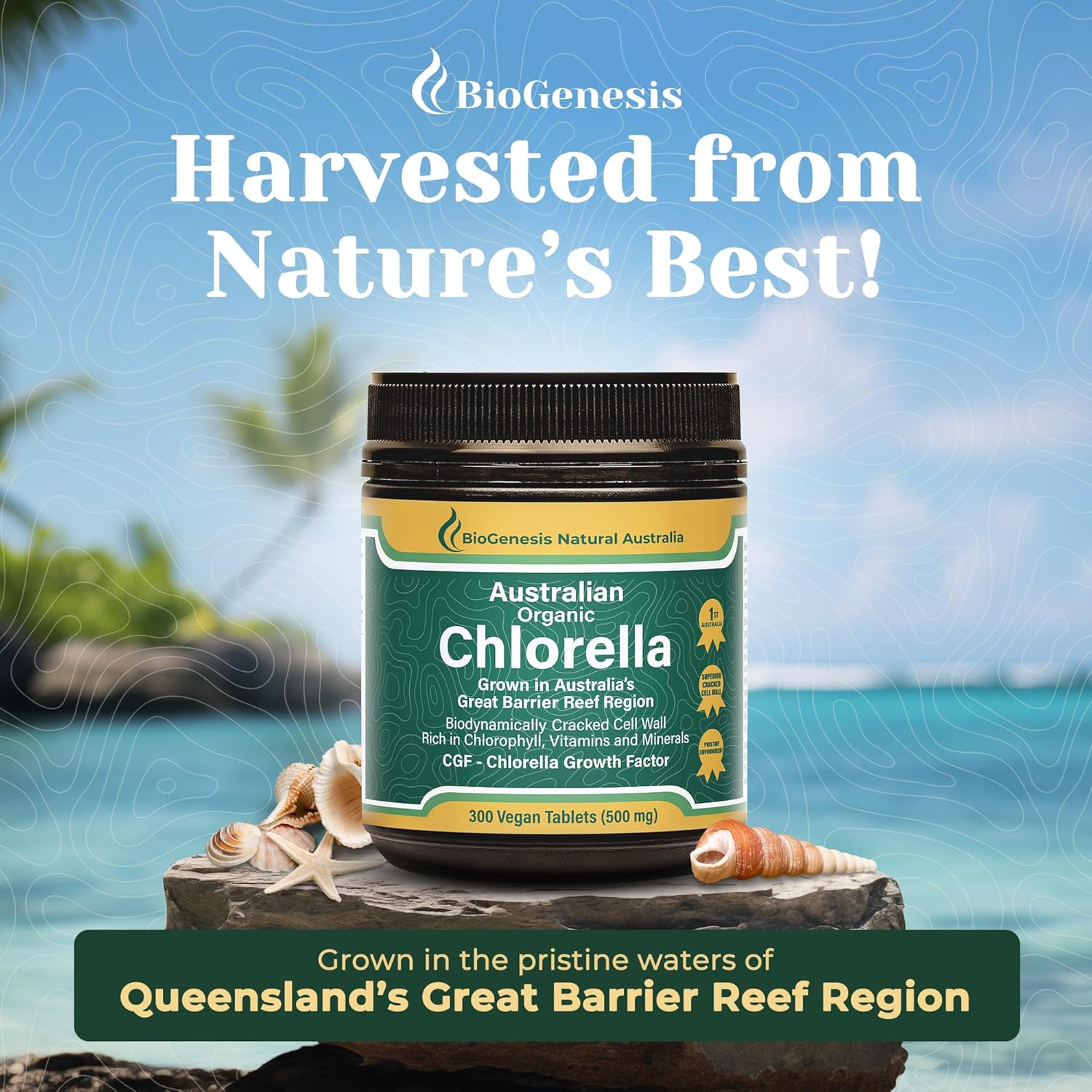 Australian Biogenesis Organic Chlorella Tablets | Advanced BioDynamic Cracked Cell Wall | Chlorophyll-Rich, Vitamins, Minerals, CGF | Supports Good Health | Vegan-friendly (300 Tablets)