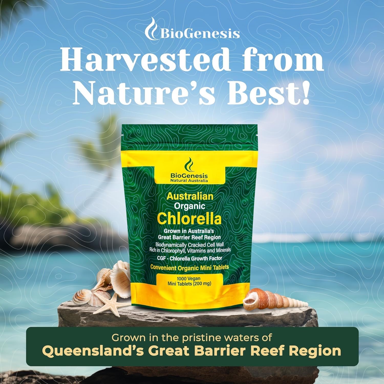 Australian Biogenesis Organic Chlorella Tablets with Advanced BioDynamic Cracked Cell Wall - Rich in Chlorophyll, Vitamins, Minerals, and CGF - Vegan Tablets (1000 Count)