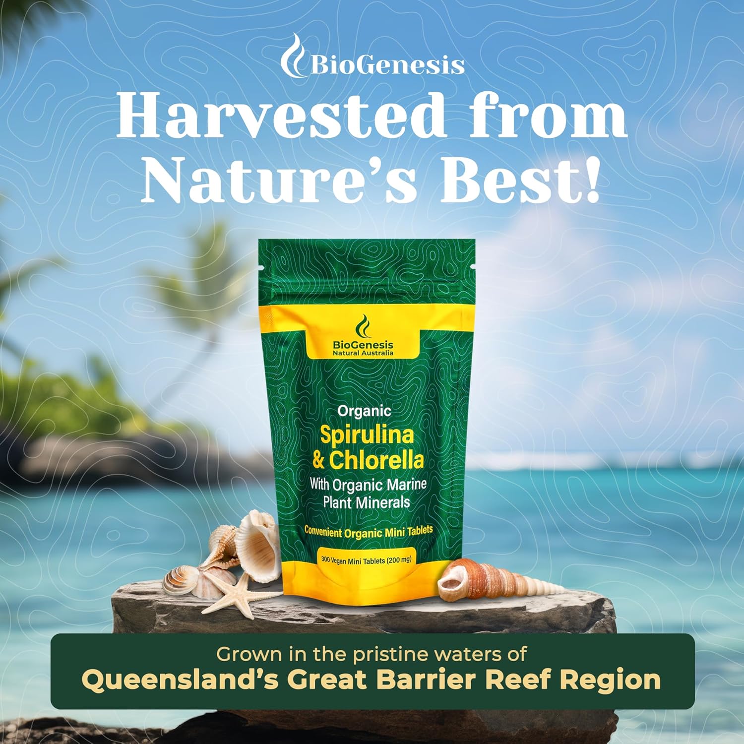 Australian Biogenesis Organic Spirulina & Chlorella Tablets with Marine Plant Minerals - BioDynamic, Chlorophyll-Rich, Vegan (300 Tablets)