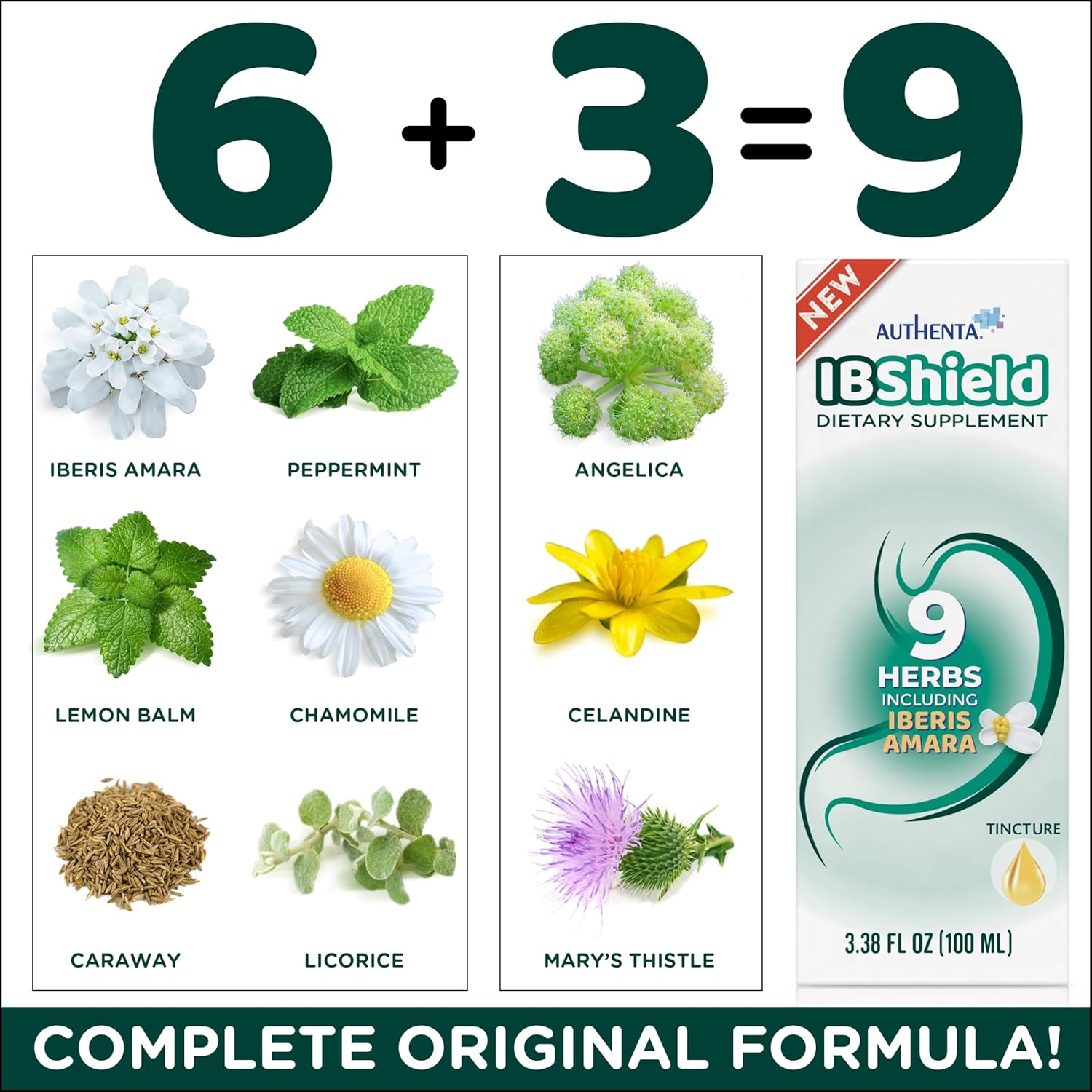 AUTHENTA IBShield Tincture 100ml | 9-Herb Formula for Gastrointestinal Health | Iberis Amara, Peppermint, Chamomile, Lemon Balm, Caraway, Licorice, Angelica, Celandine, Mary’s Thistle