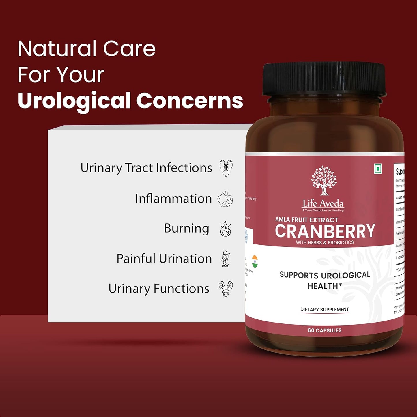 Aveda Cranberry & Amla Fruit Extract Supplement with Probiotics for Bladder & Kidney Health | Antioxidant & Detox Support | 60 Capsules