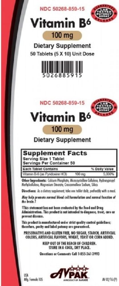 Avpak Vitamin B-6 Tablets 100 MG - 50 Tablets Pack for Daily Health Support