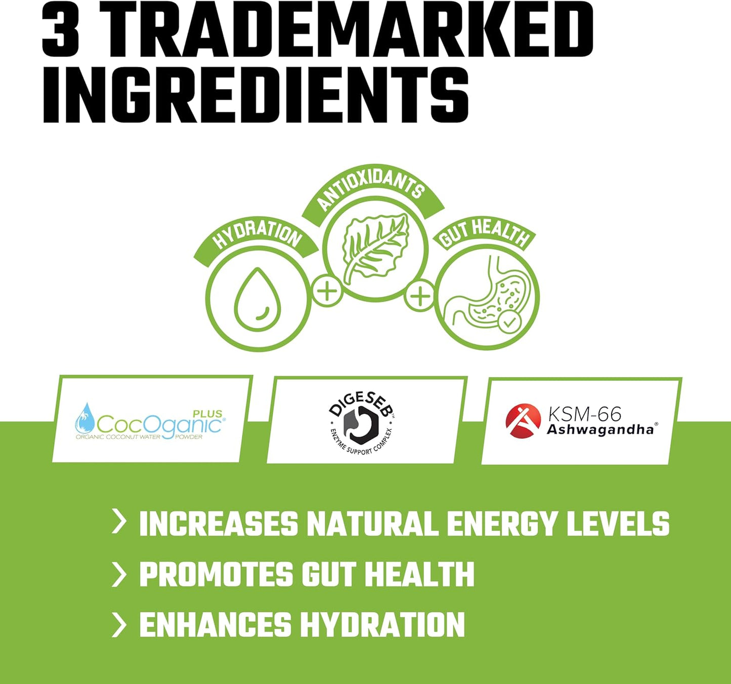 Axe & Sledge Greens+ Superfood Powder - Antioxidants, Probiotics, Digestive Enzymes, Ashwagandha, Coconut Water - 30 Servings - Apple Banana Flavor