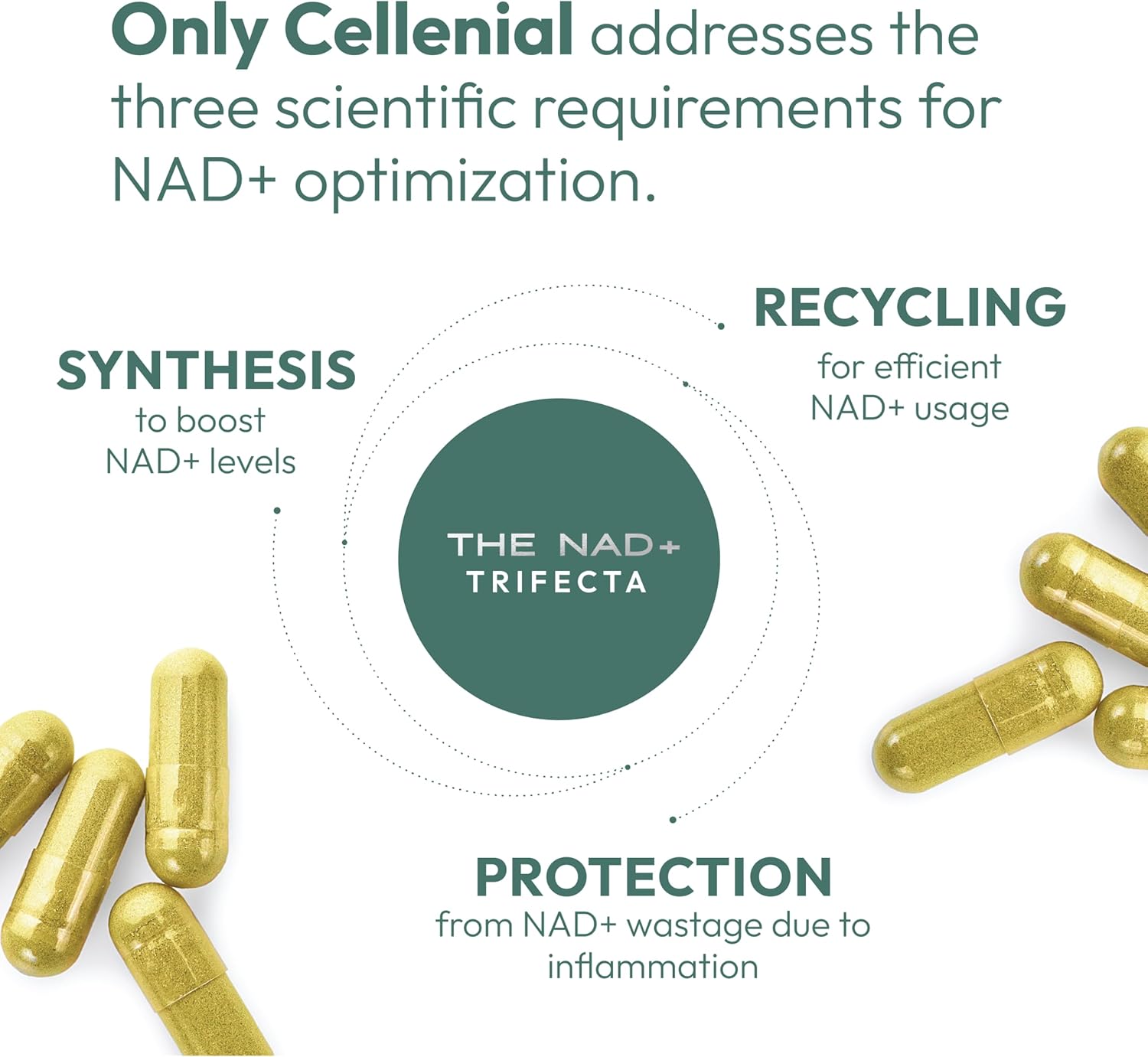 AXIA Longevity Cellenial - Patented NAD+ Supplement for DNA Repair, Energy, and Brain Function. Boost Cellular Energy and Support Healthy Aging.