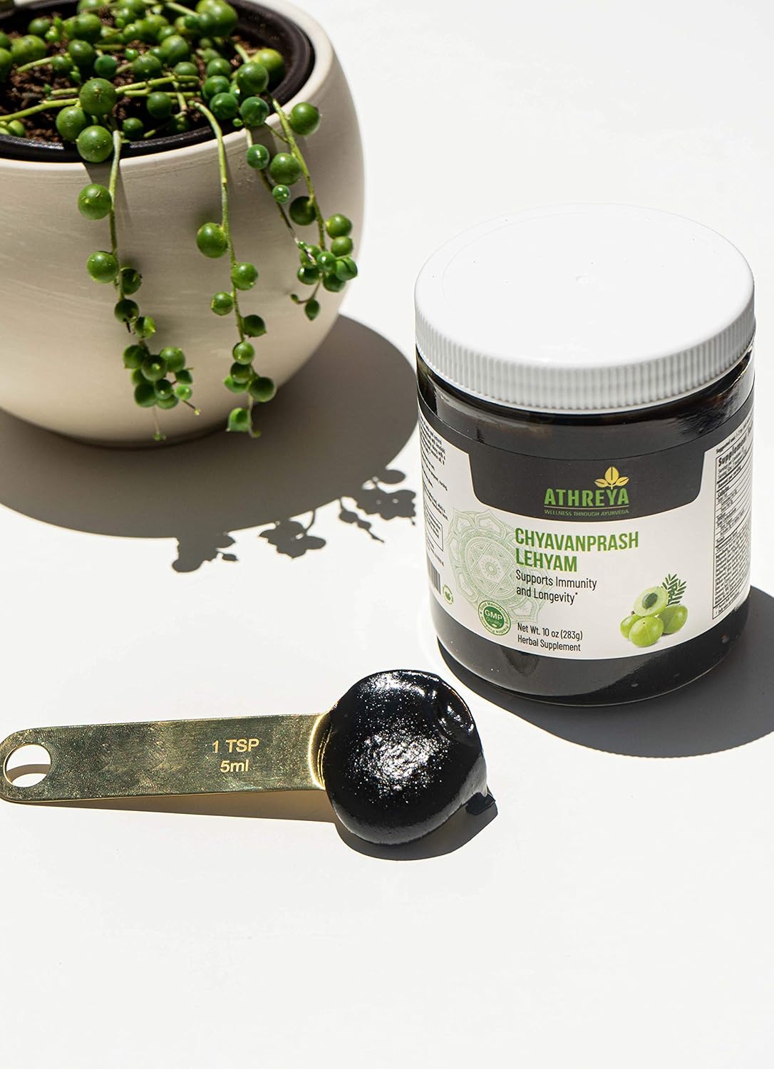 Ayurvedic Chyavanprash Lehyam Jam - 20 Oz - Supports Immunity, Metabolism & Reproductive Health - Non-GMO Herbal Blend for Overall Well-Being